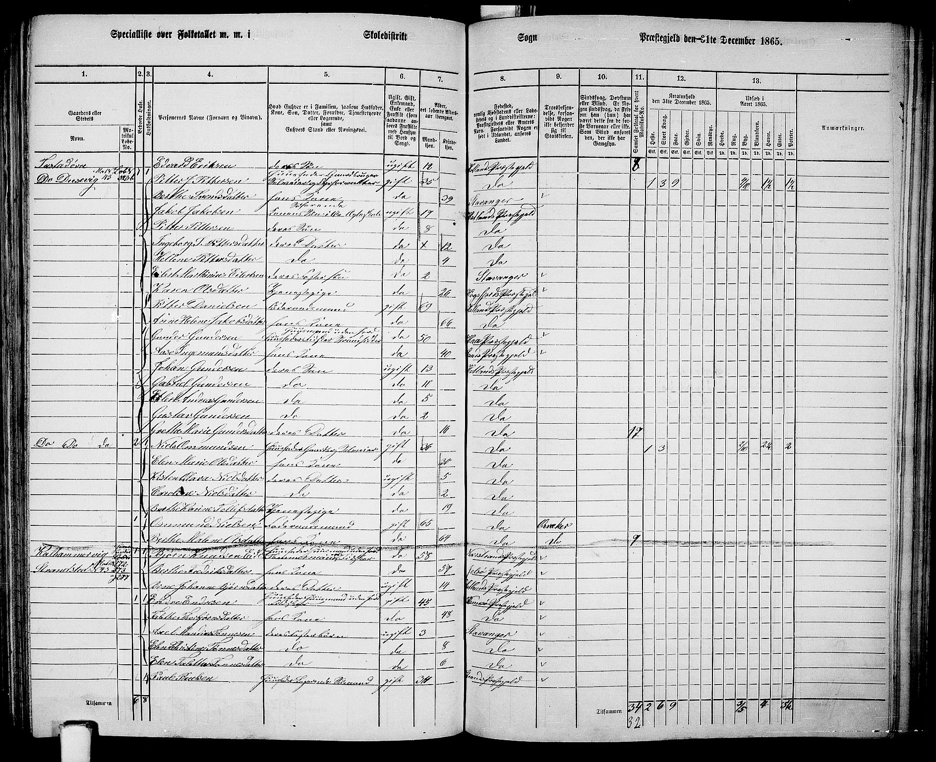 RA, 1865 census for Hetland, 1865, p. 163