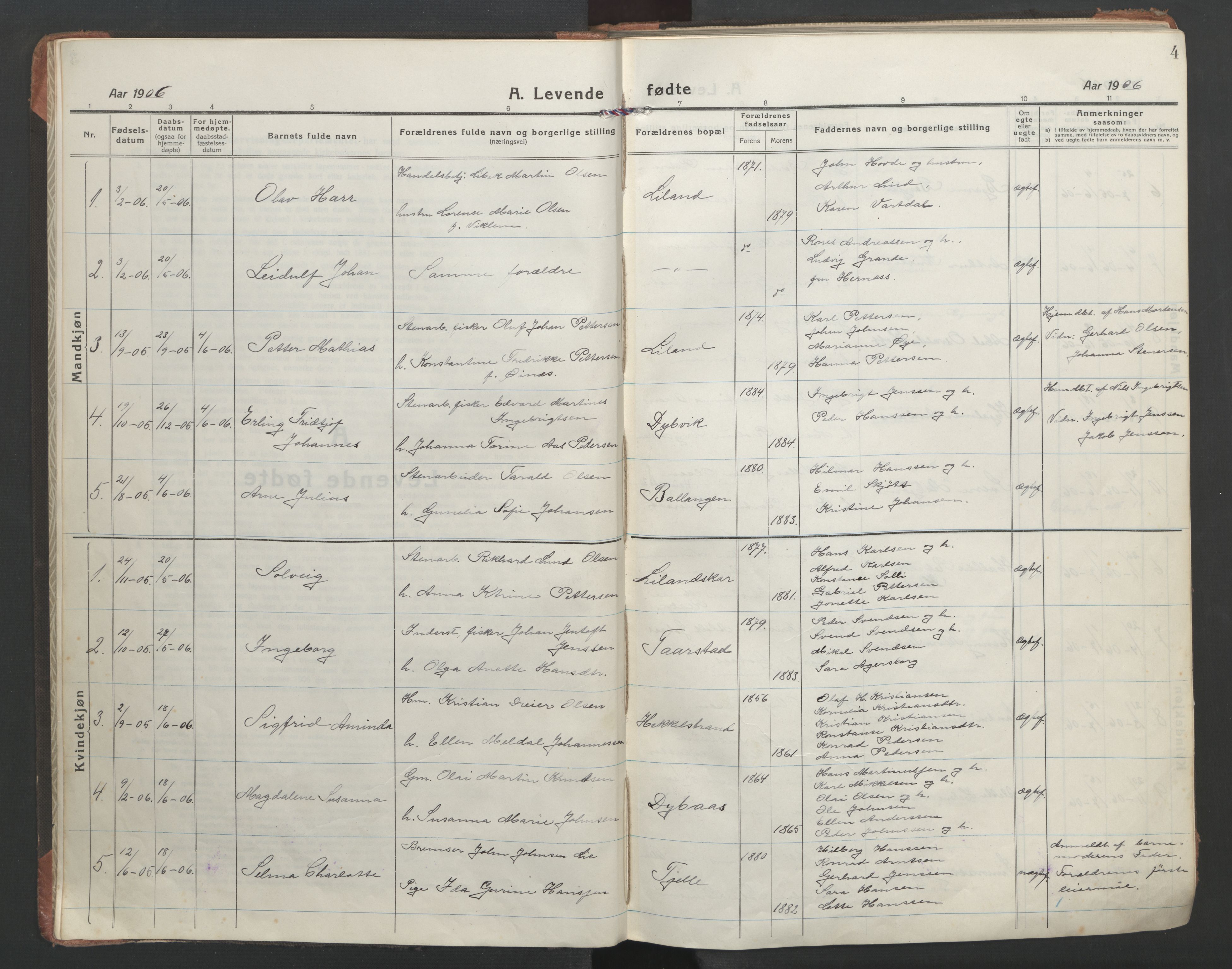 Ministerialprotokoller, klokkerbøker og fødselsregistre - Nordland, AV/SAT-A-1459/863/L0900: Parish register (official) no. 863A12, 1906-1915, p. 4