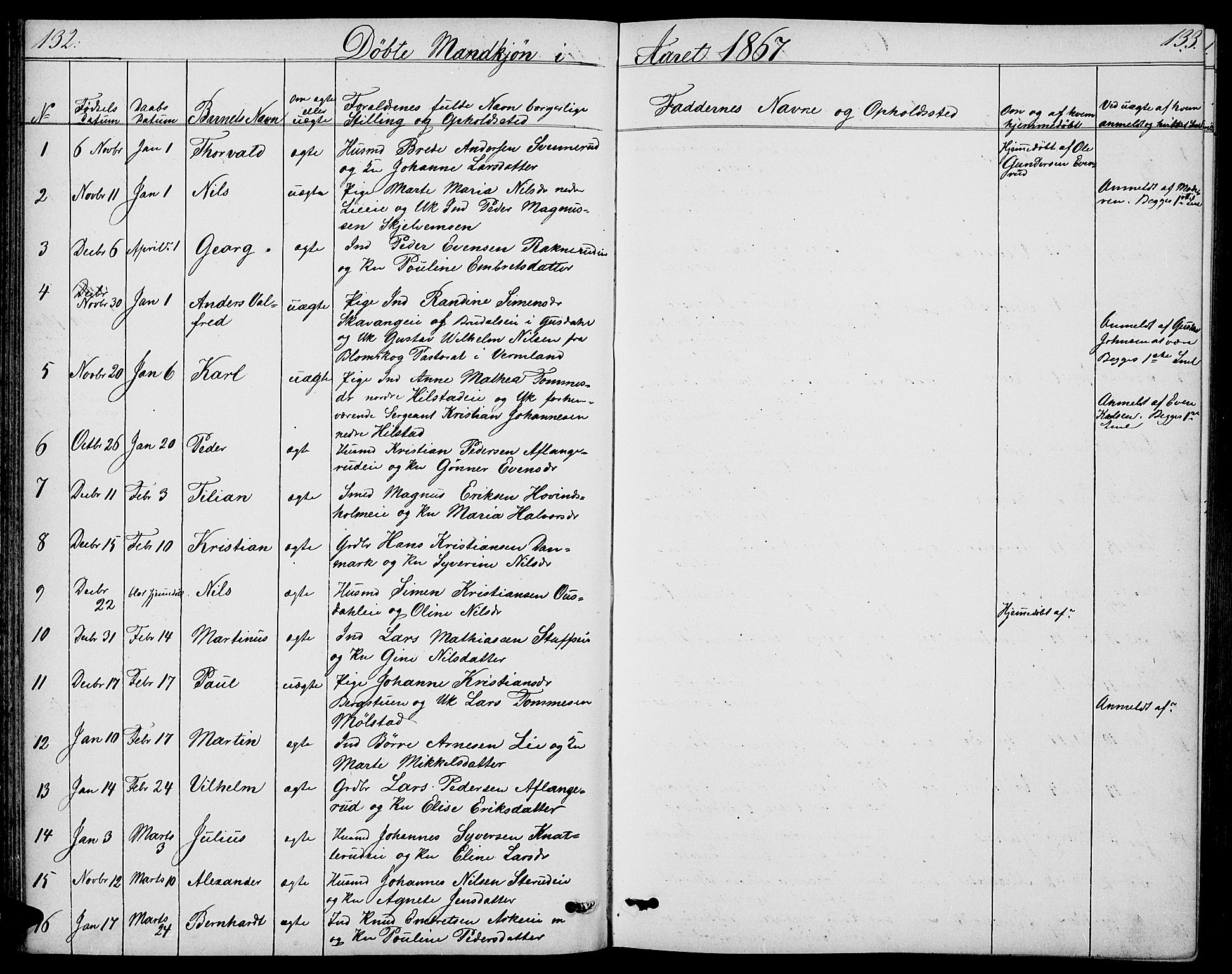 Nes prestekontor, Hedmark, AV/SAH-PREST-020/L/La/L0005: Parish register (copy) no. 5, 1852-1889, p. 132-133