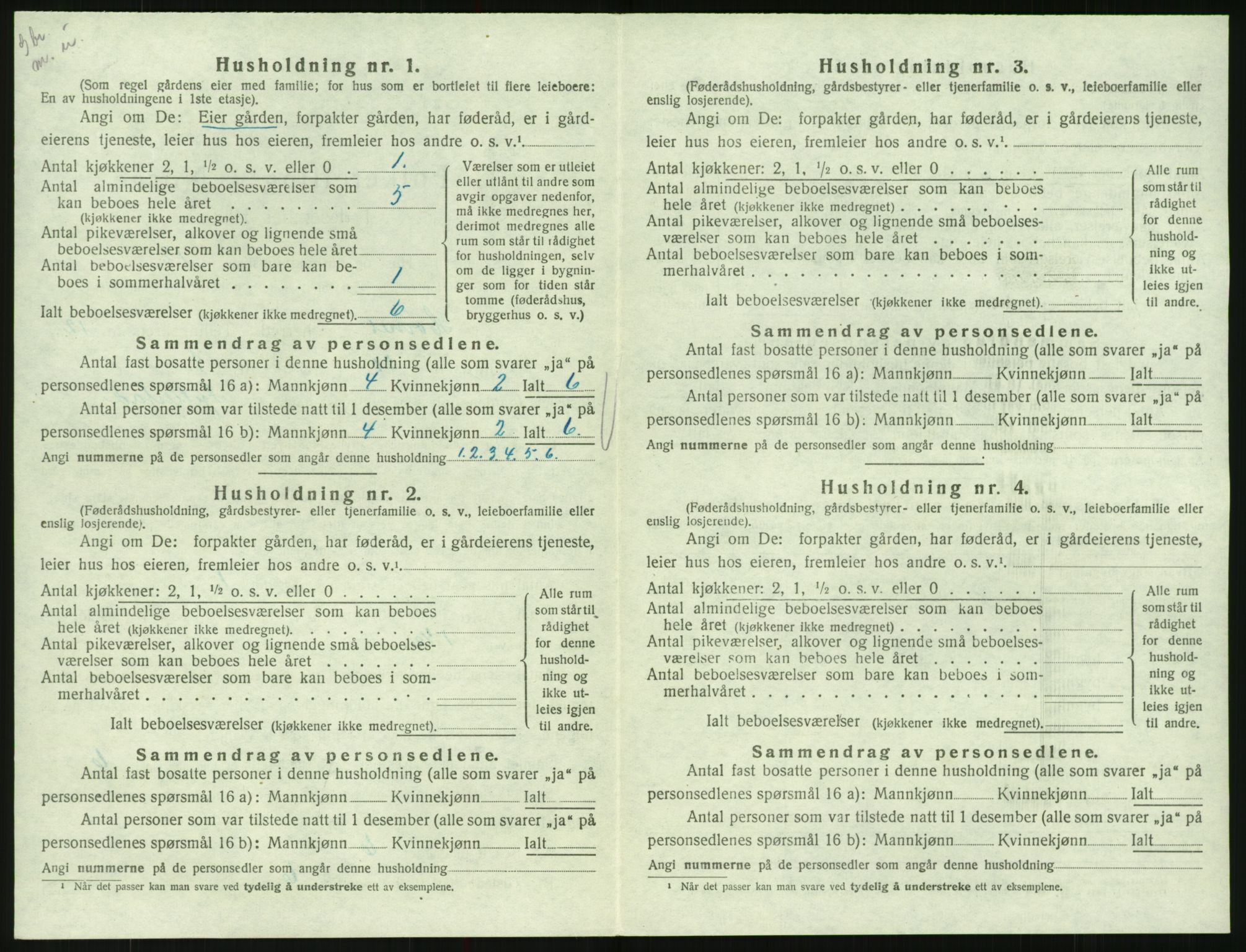 SAK, 1920 census for Hornnes, 1920, p. 496