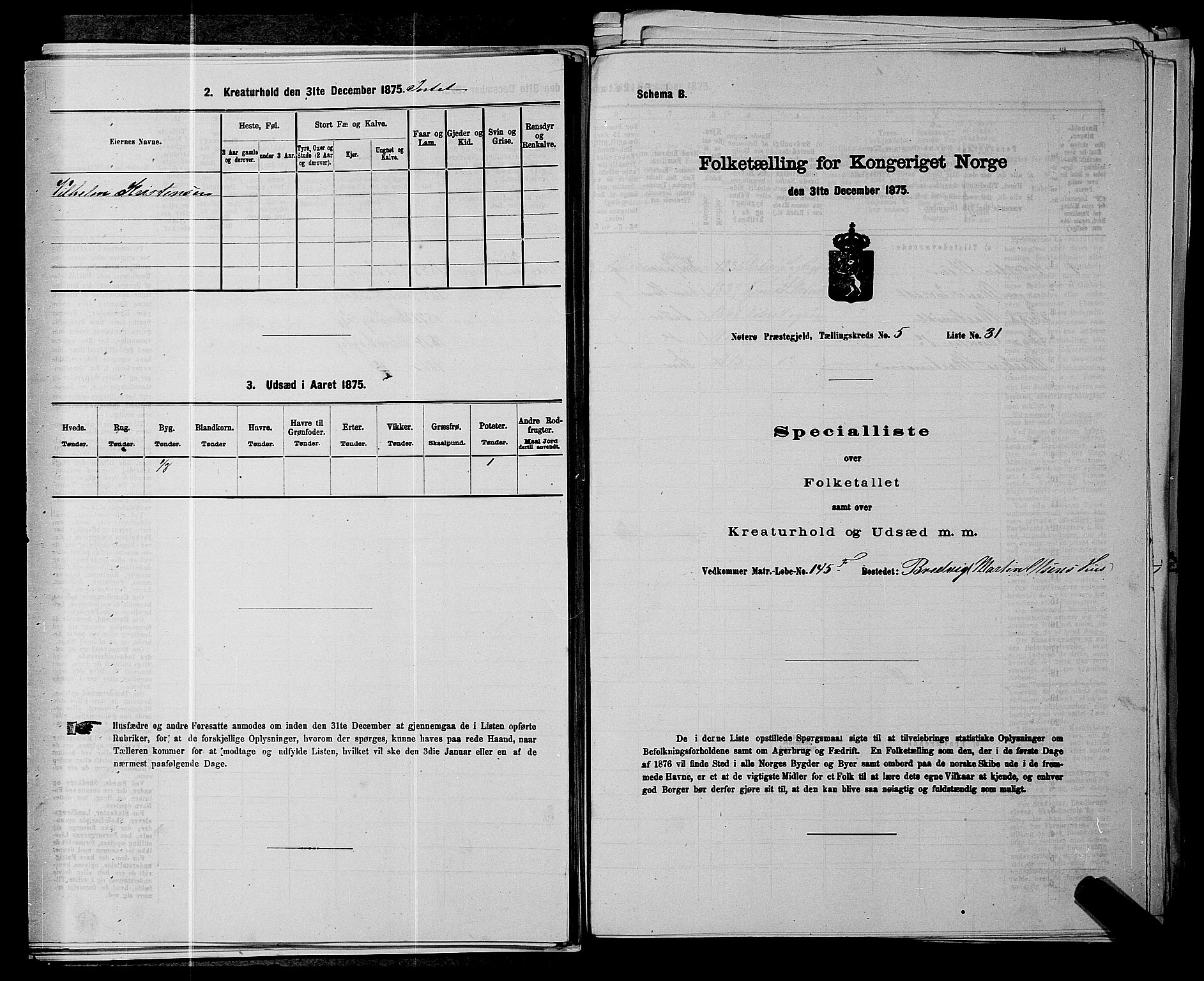 SAKO, 1875 census for 0722P Nøtterøy, 1875, p. 1029