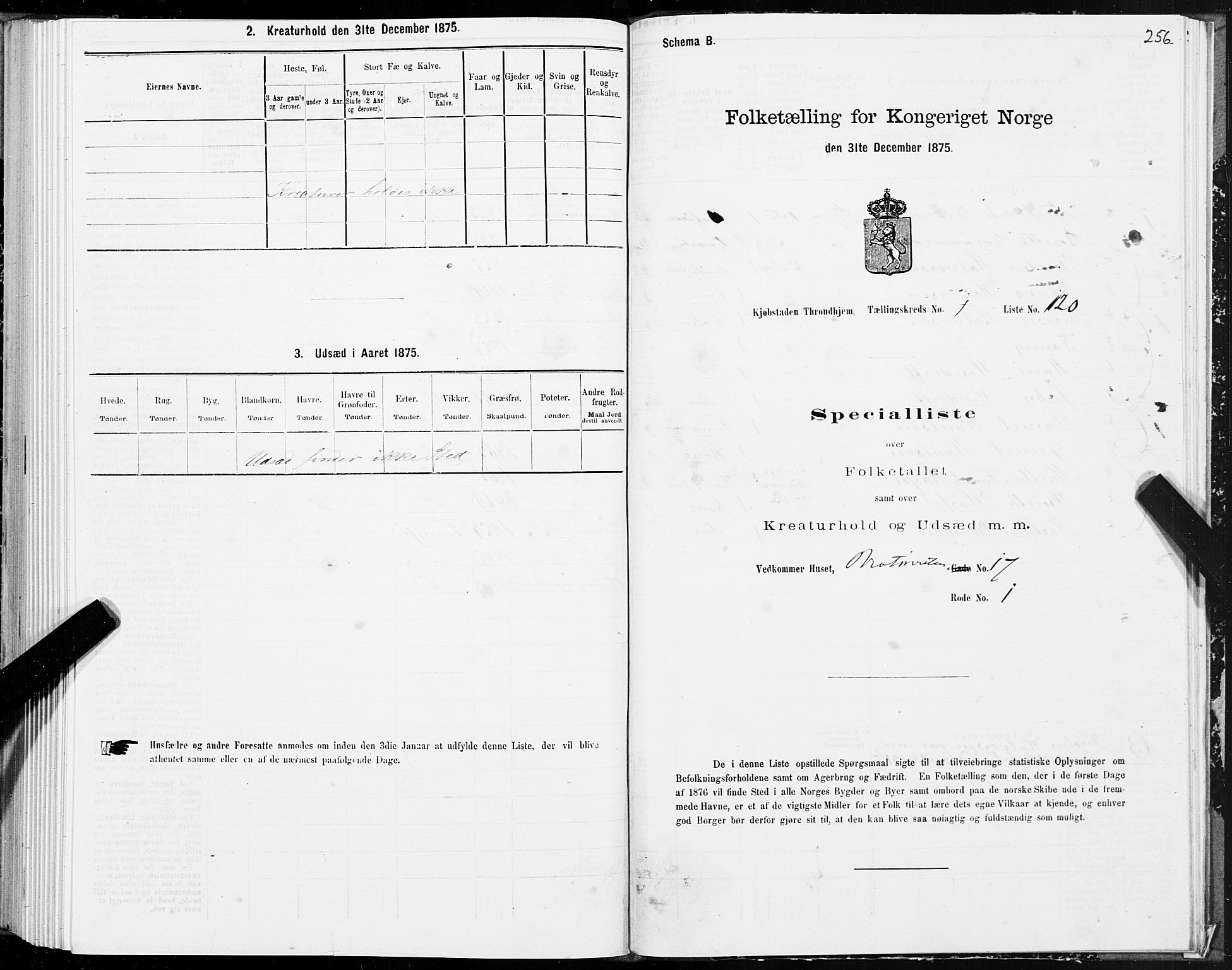 SAT, 1875 census for 1601 Trondheim, 1875, p. 1256