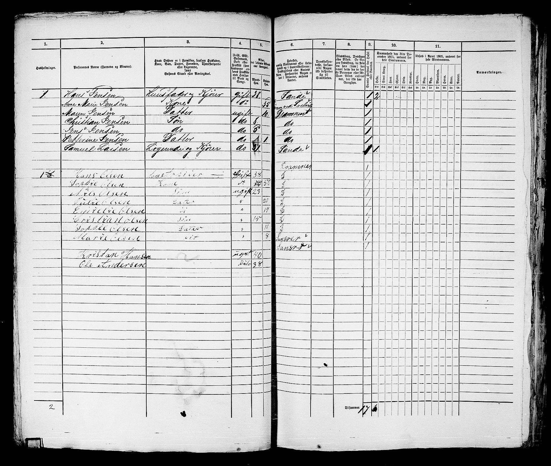 RA, 1865 census for Strømsø in Drammen, 1865, p. 224