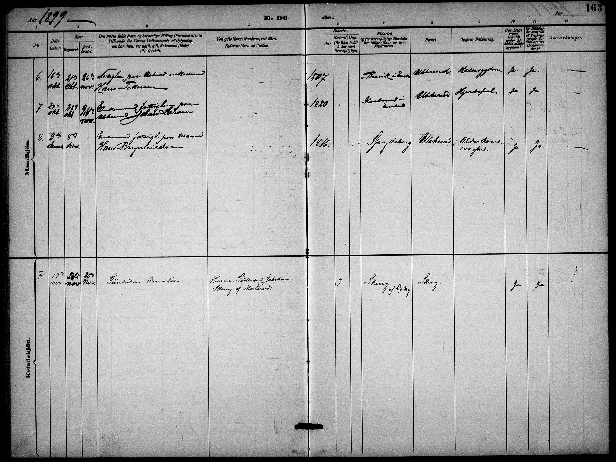 Enebakk prestekontor Kirkebøker, SAO/A-10171c/G/Gb/L0002: Parish register (copy) no. II 2, 1891-1903, p. 163