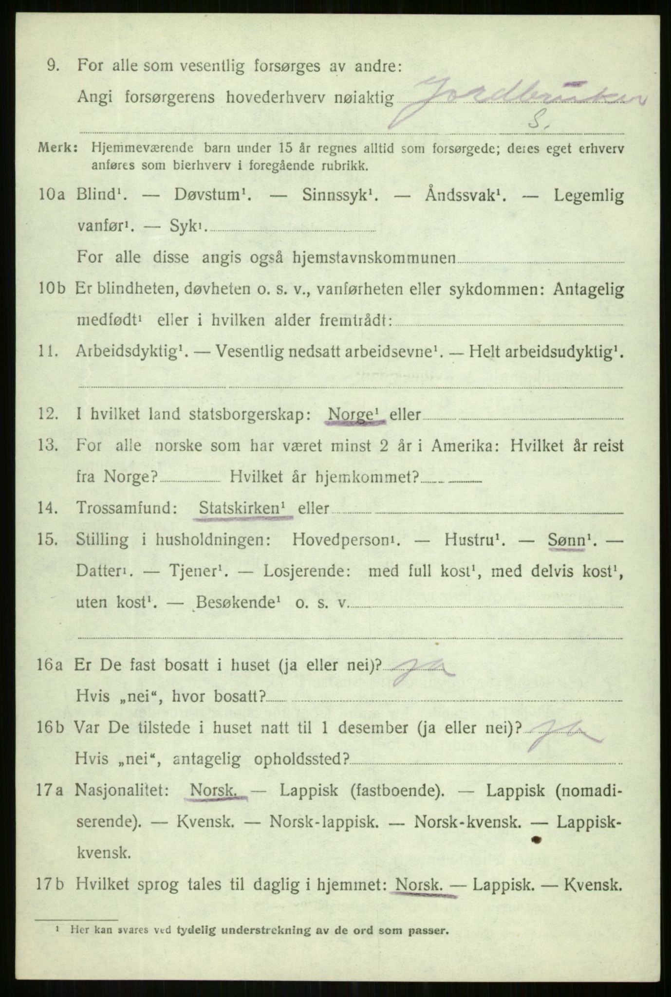 SATØ, 1920 census for Lenvik, 1920, p. 4247