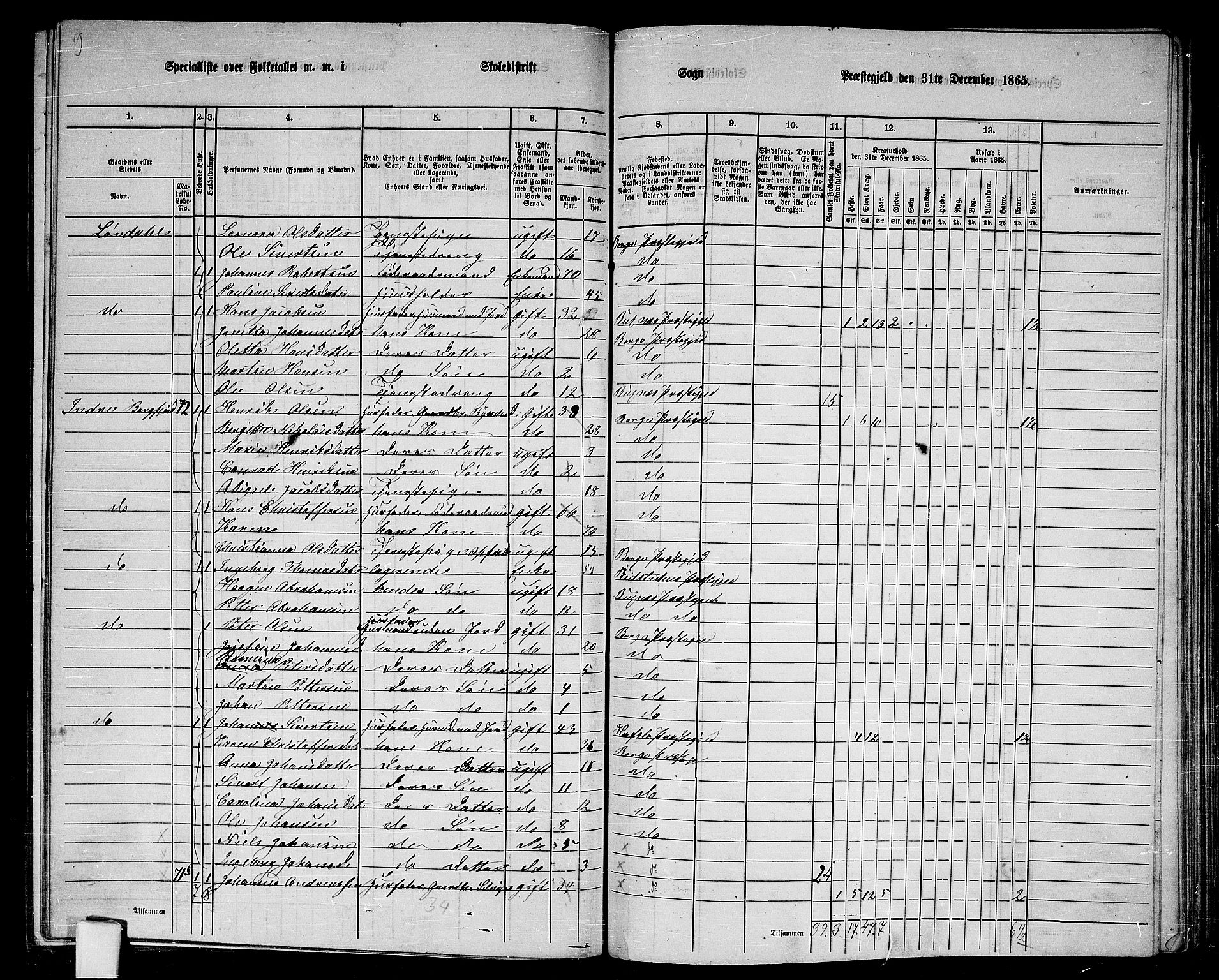 RA, 1865 census for Borge, 1865, p. 32