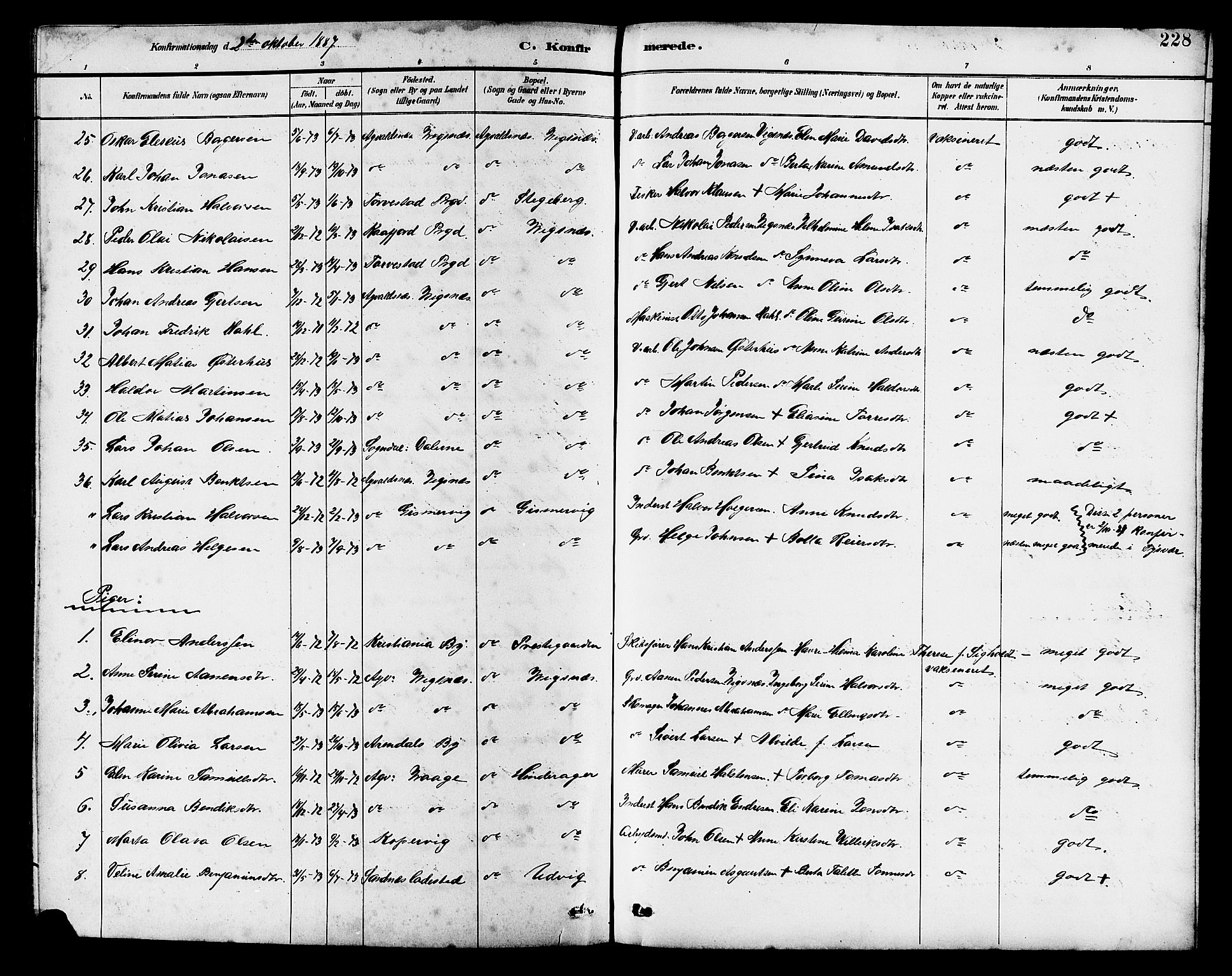 Avaldsnes sokneprestkontor, AV/SAST-A -101851/H/Ha/Hab/L0007: Parish register (copy) no. B 7, 1885-1909, p. 228