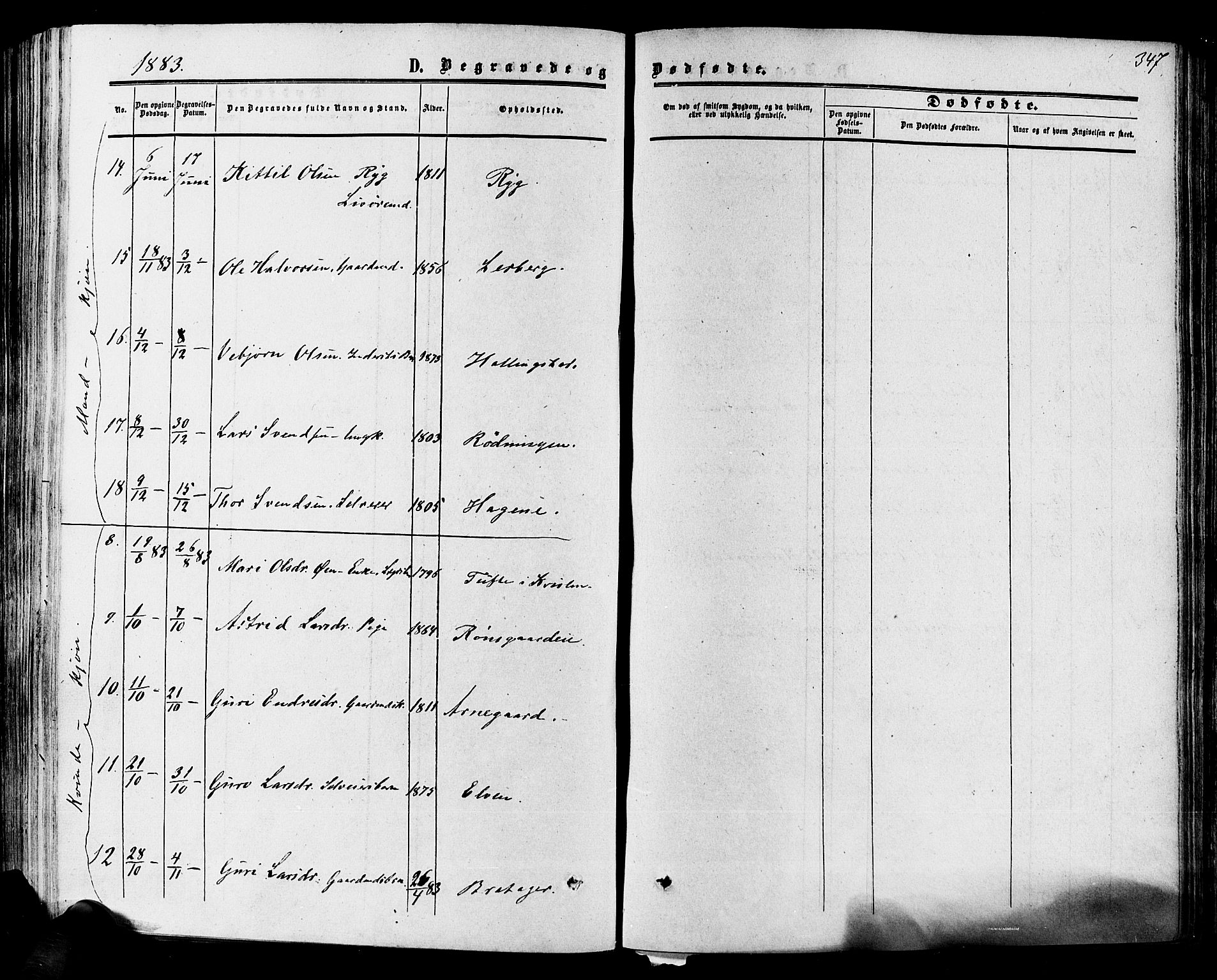 Hol kirkebøker, AV/SAKO-A-227/F/Fa/L0002: Parish register (official) no. I 2, 1870-1886, p. 347