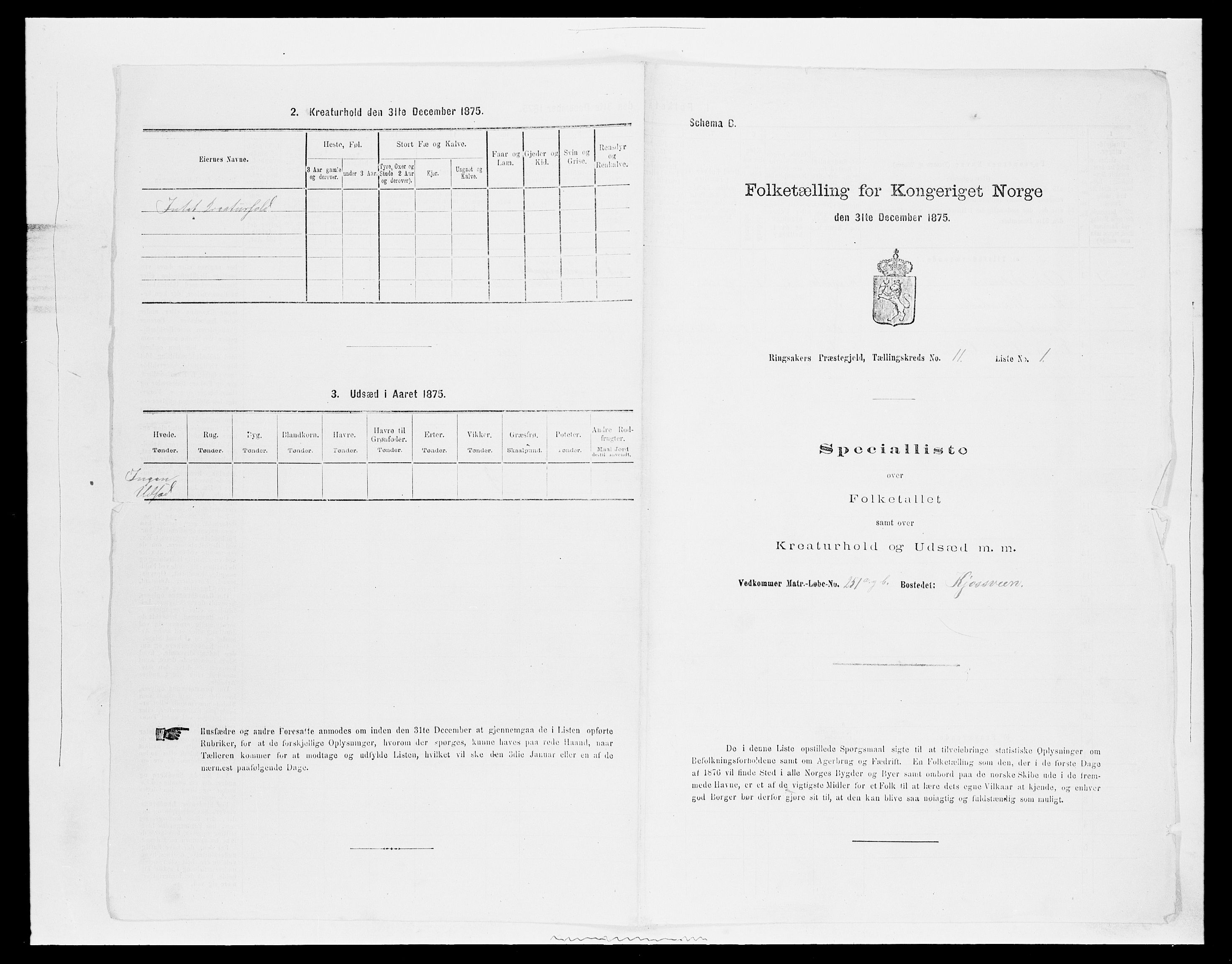 SAH, 1875 census for 0412P Ringsaker, 1875, p. 2163