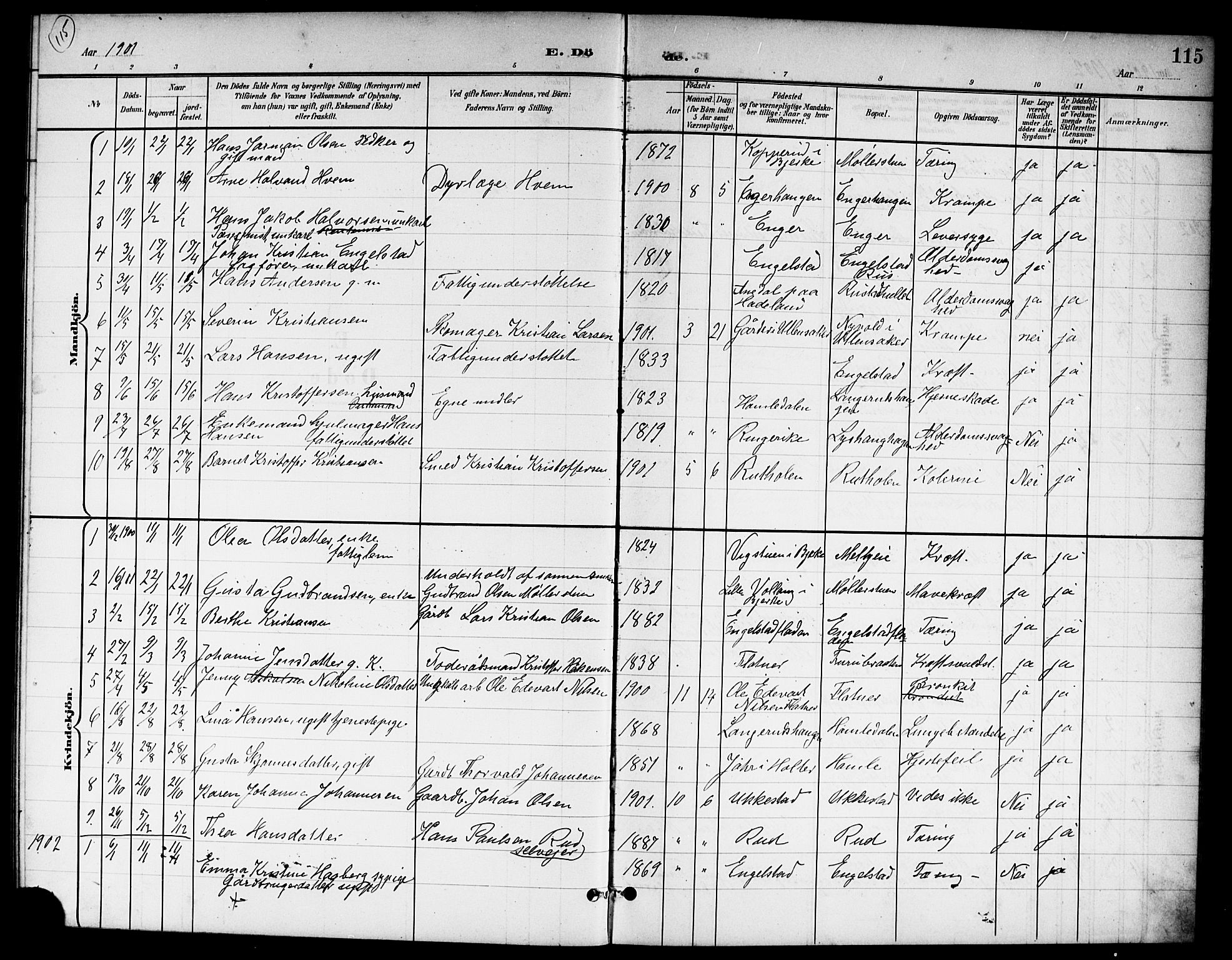 Nannestad prestekontor Kirkebøker, SAO/A-10414a/G/Ga/L0002: Parish register (copy) no. I 2, 1901-1913, p. 115
