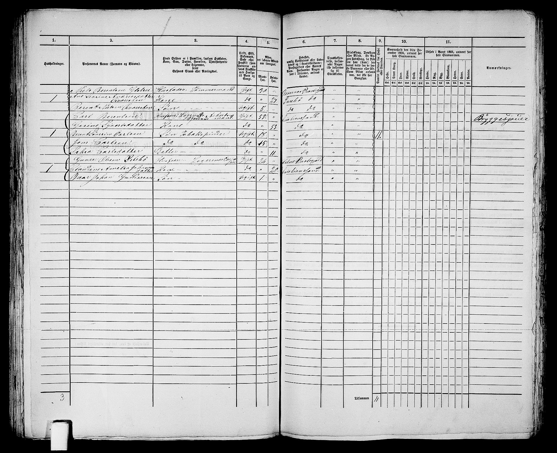 RA, 1865 census for Kristiansand, 1865, p. 1233