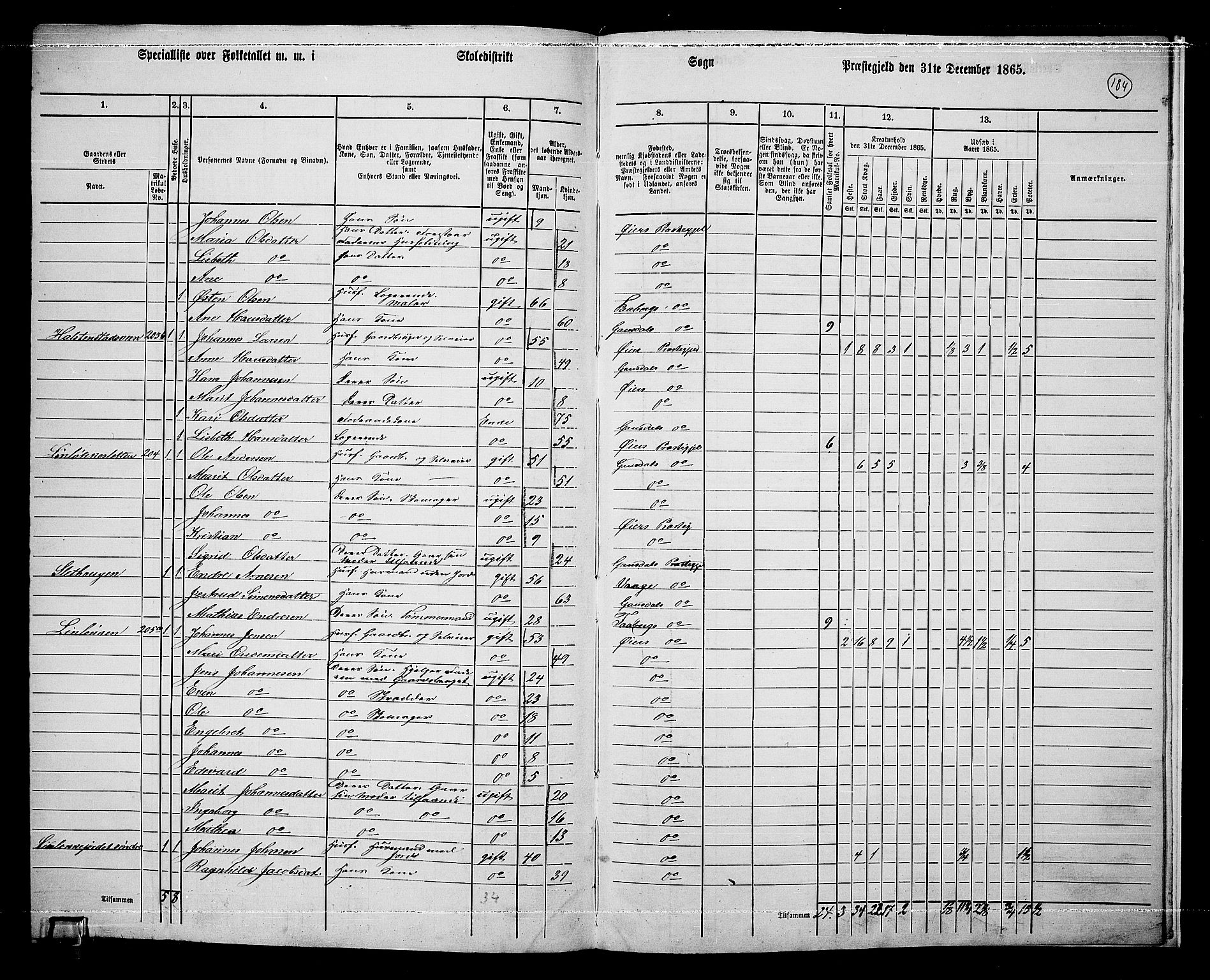 RA, 1865 census for Øyer, 1865, p. 169