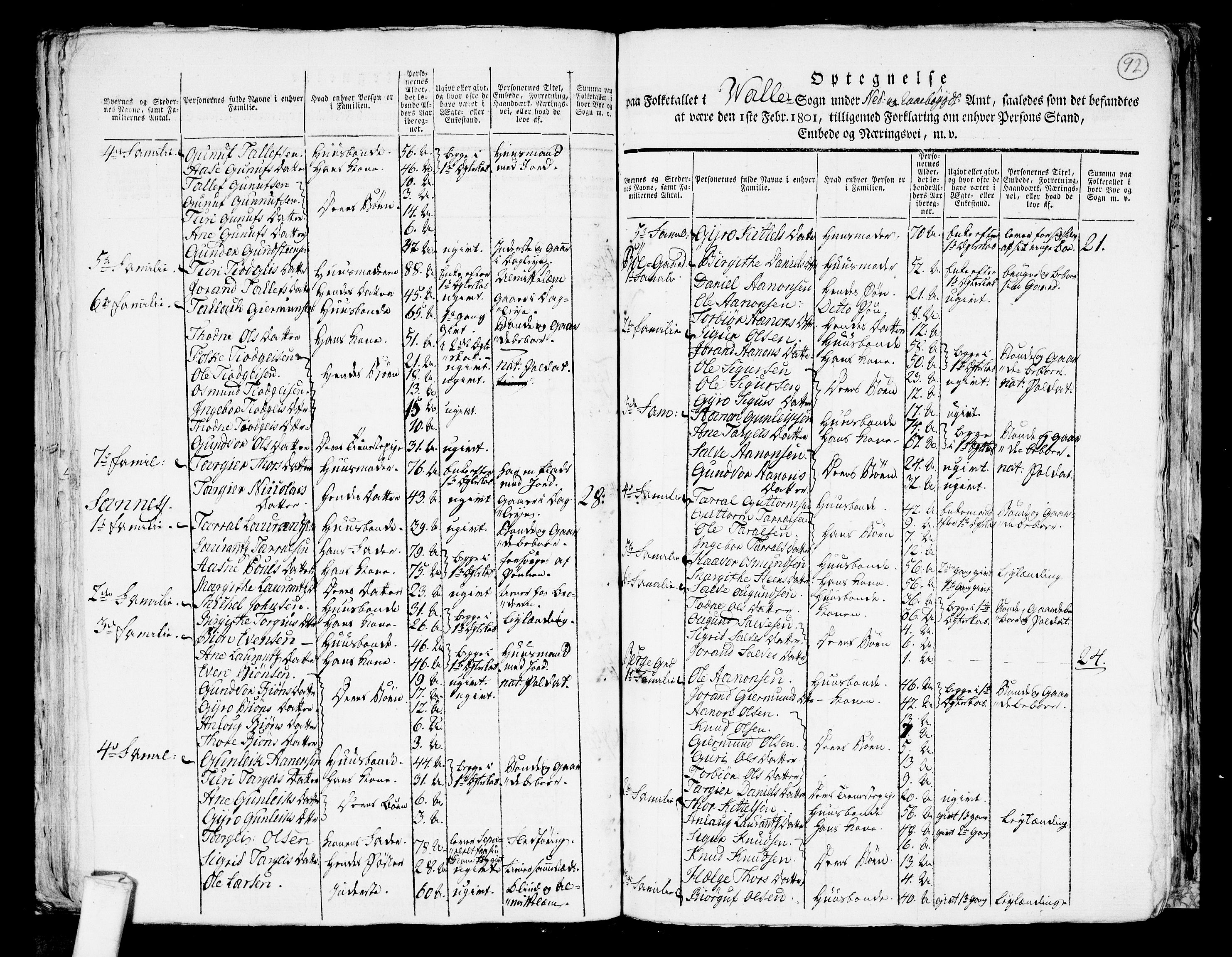 RA, 1801 census for 0940P Valle, 1801, p. 91b-92a