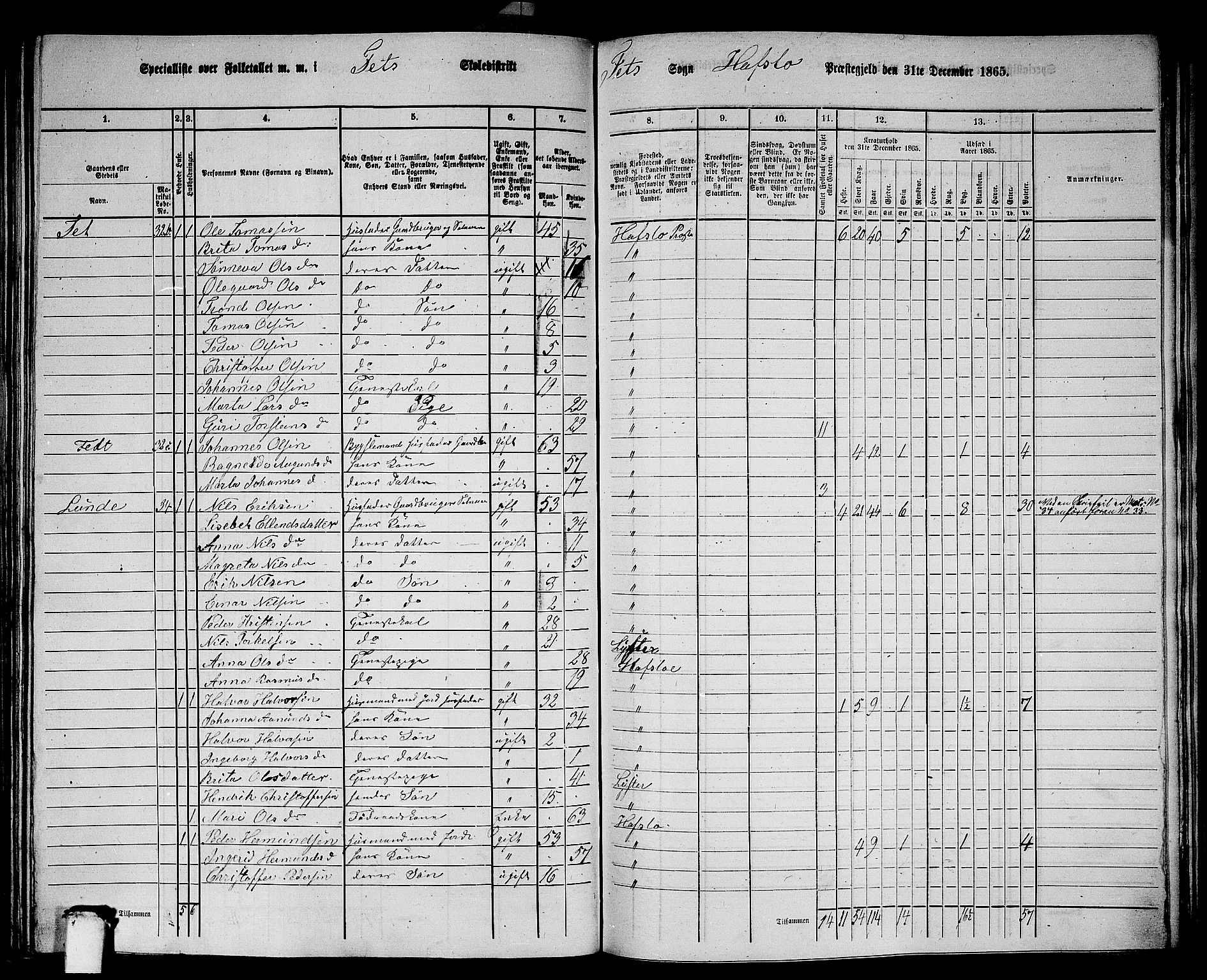 RA, 1865 census for Hafslo, 1865, p. 107