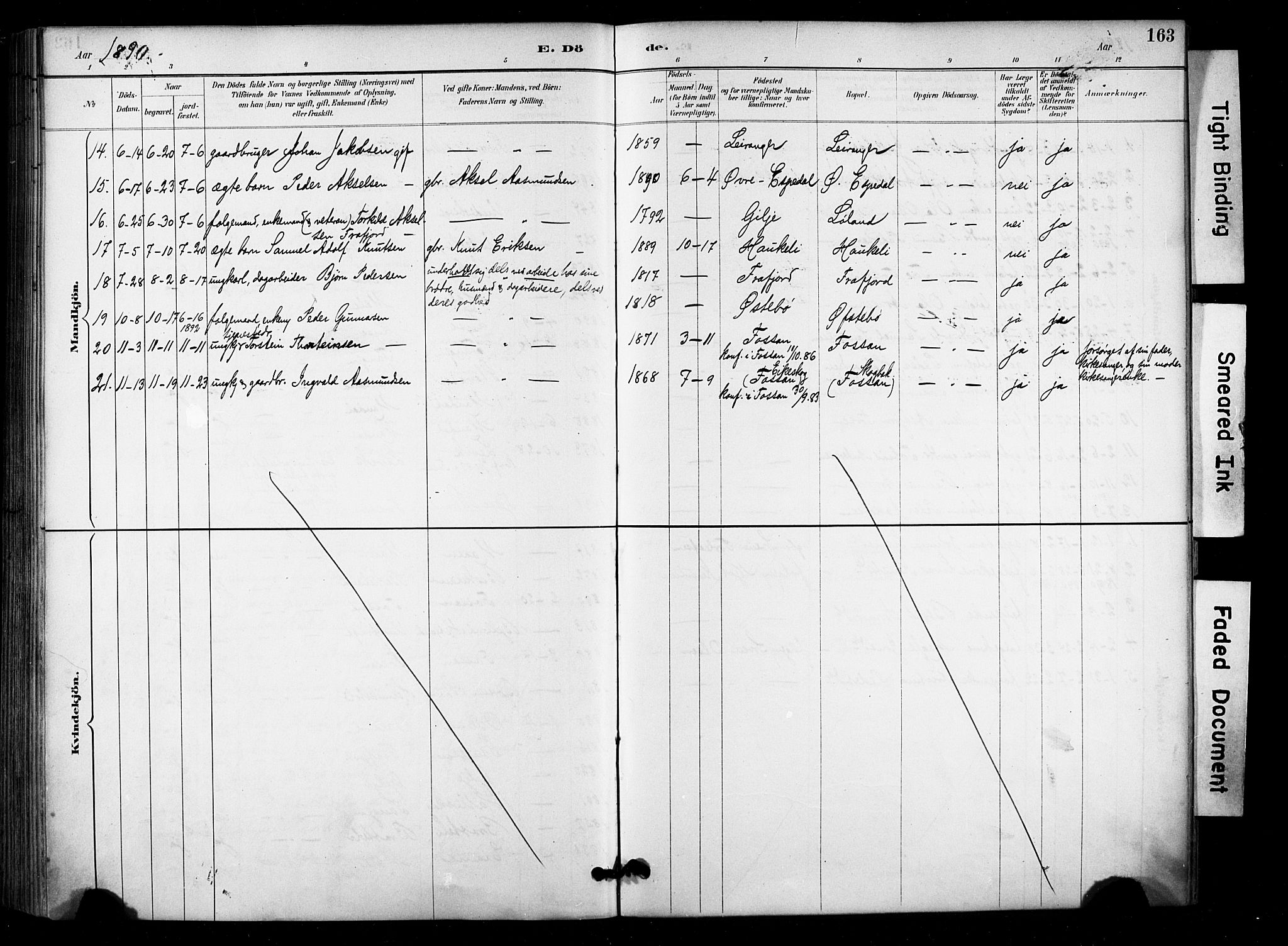 Høgsfjord sokneprestkontor, AV/SAST-A-101624/H/Ha/Haa/L0006: Parish register (official) no. A 6, 1885-1897, p. 163