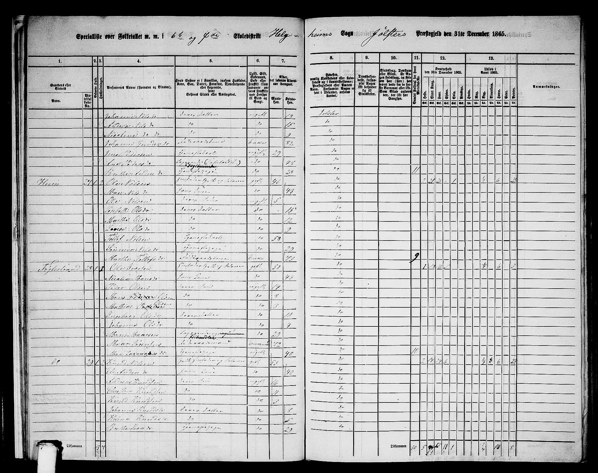 RA, 1865 census for Jølster, 1865, p. 19