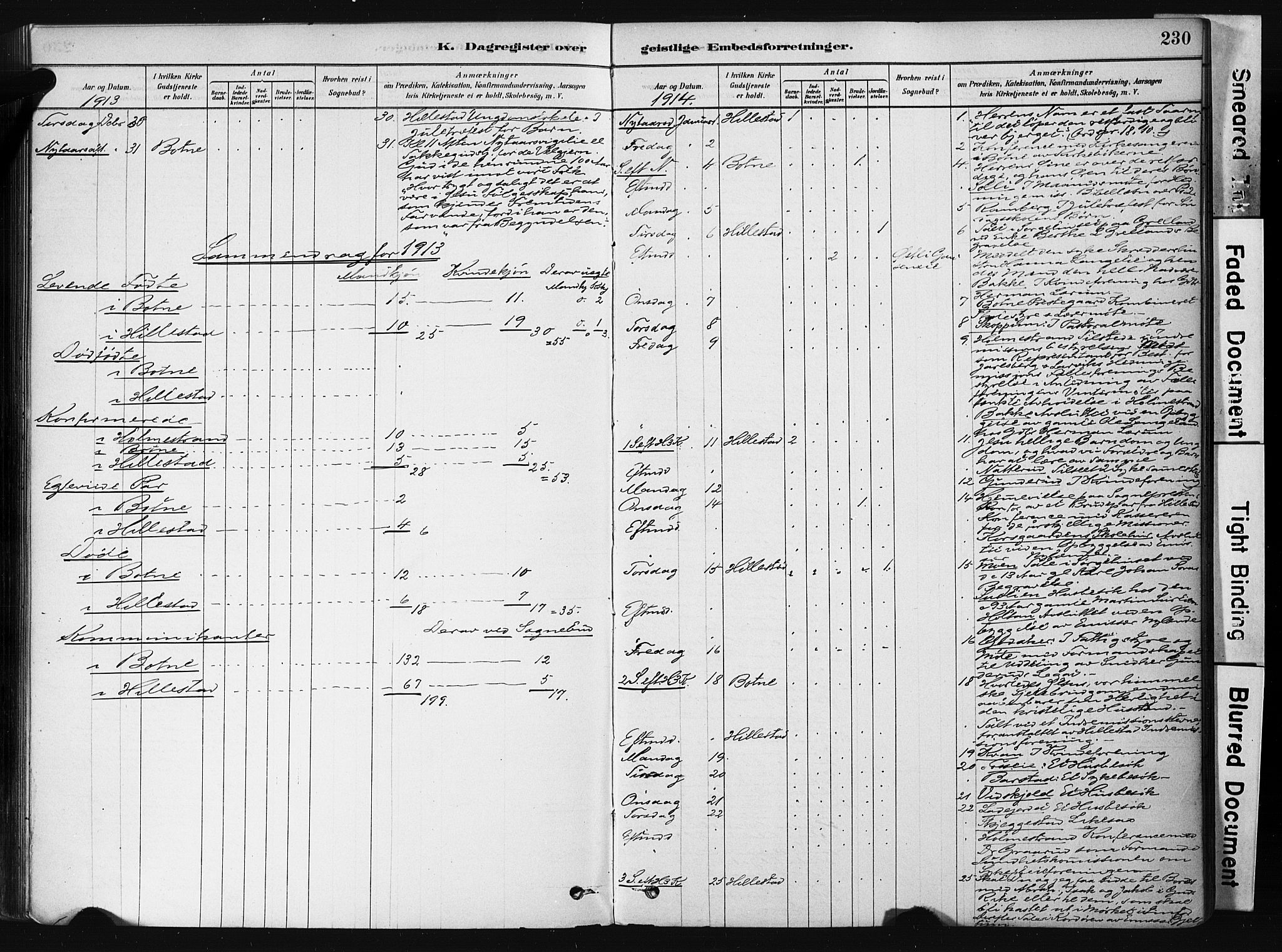 Botne kirkebøker, AV/SAKO-A-340/F/Fb/L0001: Parish register (official) no. II 1, 1878-1902, p. 230