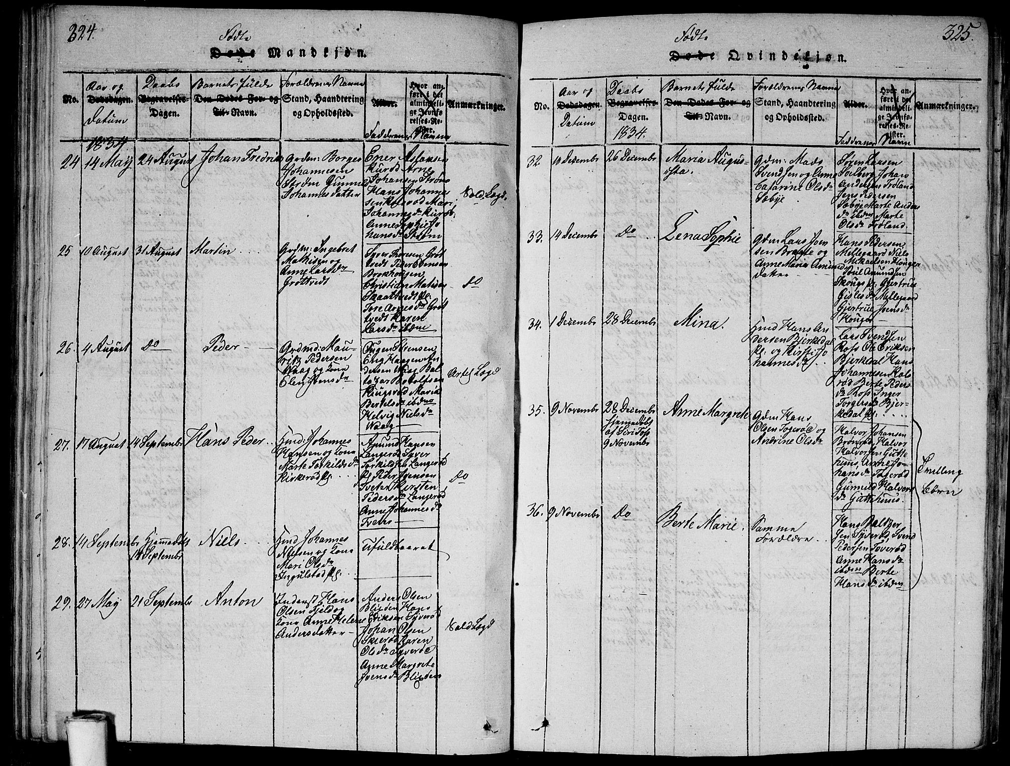 Våler prestekontor Kirkebøker, SAO/A-11083/G/Ga/L0001: Parish register (copy) no. I 1, 1815-1839, p. 324-325