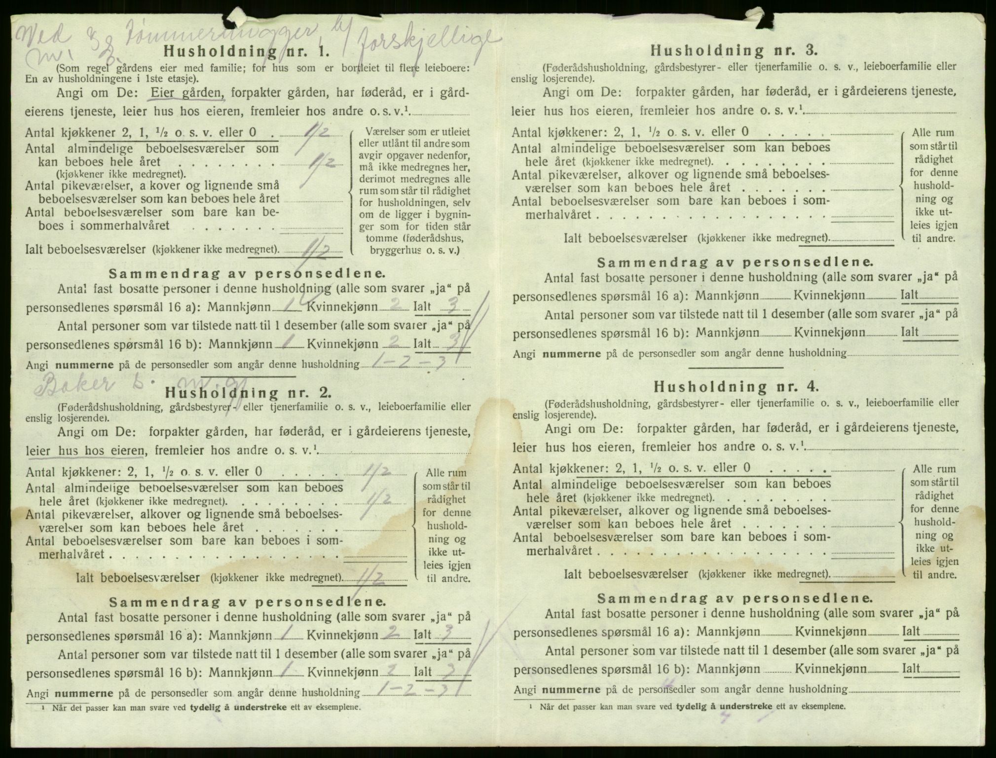 SAKO, 1920 census for Sande, 1920, p. 206