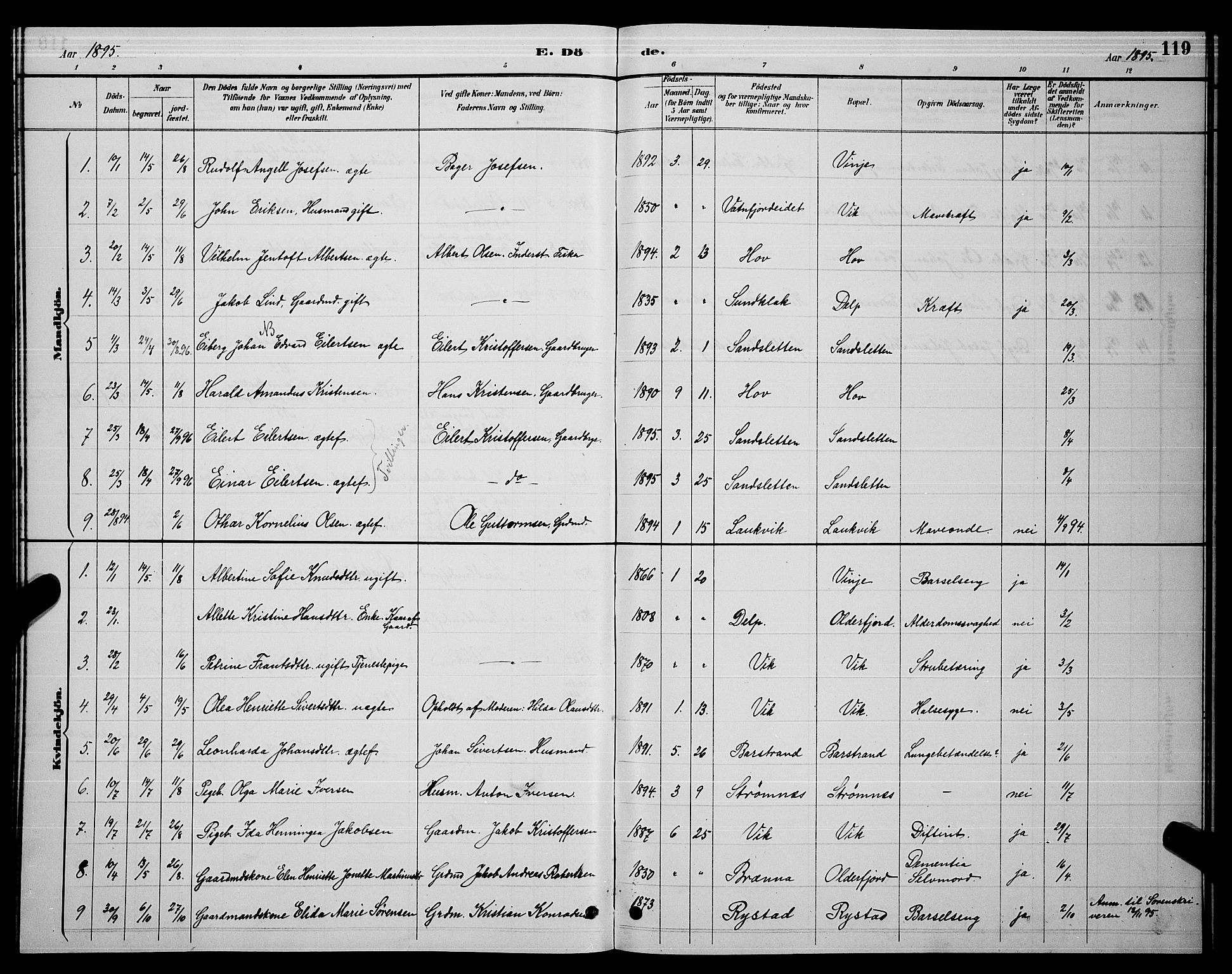 Ministerialprotokoller, klokkerbøker og fødselsregistre - Nordland, AV/SAT-A-1459/876/L1104: Parish register (copy) no. 876C03, 1886-1896, p. 119