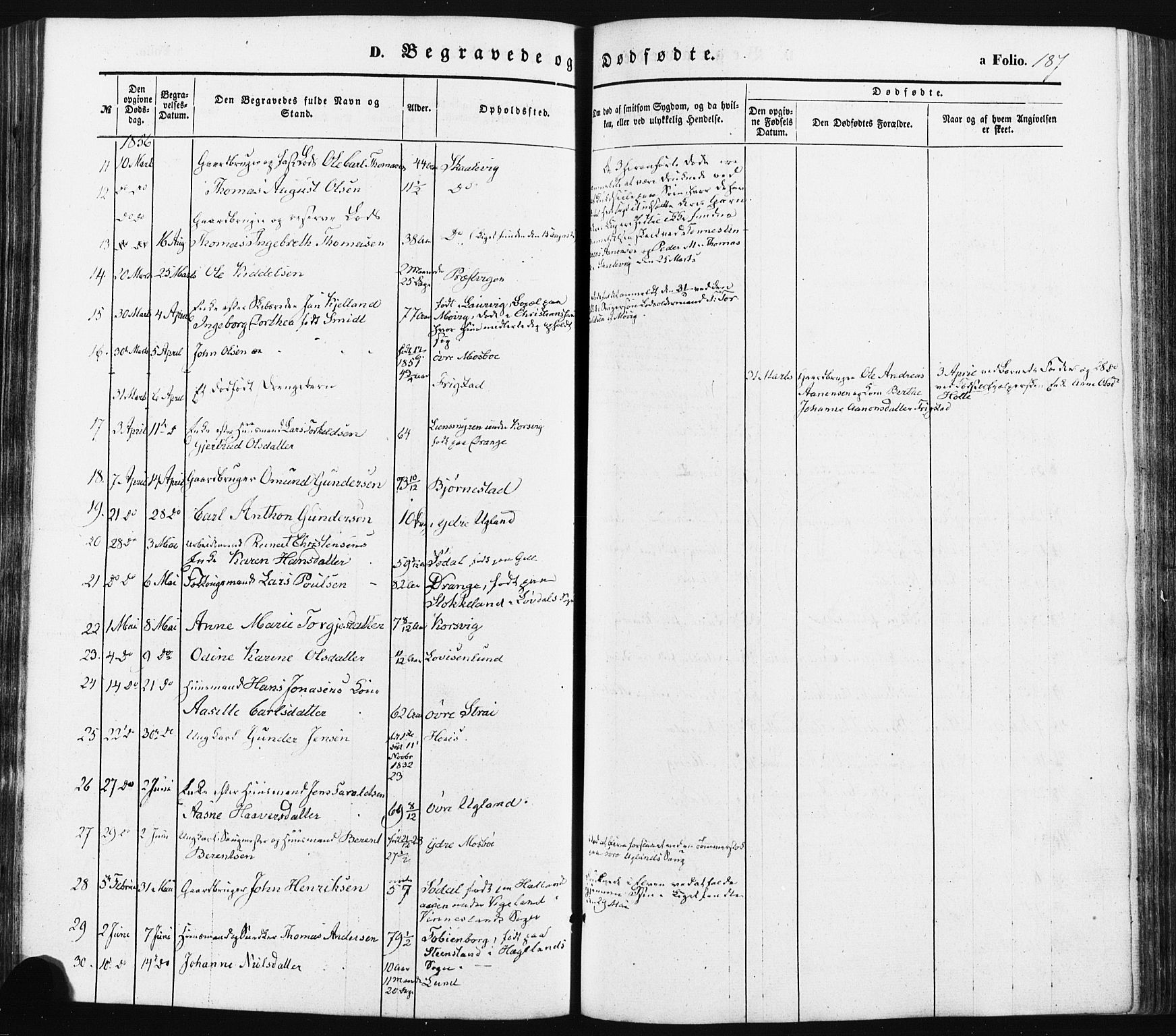 Oddernes sokneprestkontor, AV/SAK-1111-0033/F/Fa/Faa/L0007: Parish register (official) no. A 7, 1851-1863, p. 187