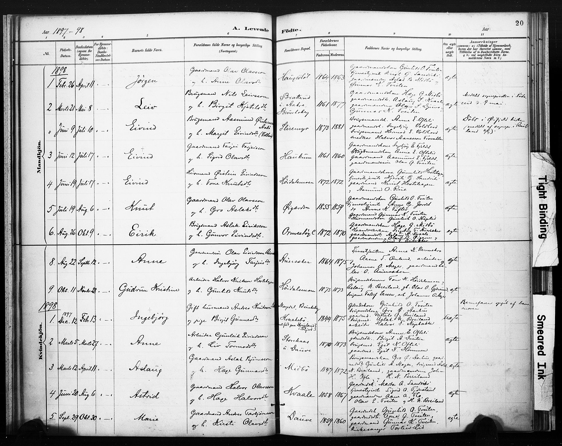 Lårdal kirkebøker, SAKO/A-284/F/Fc/L0002: Parish register (official) no. III 2, 1887-1906, p. 20