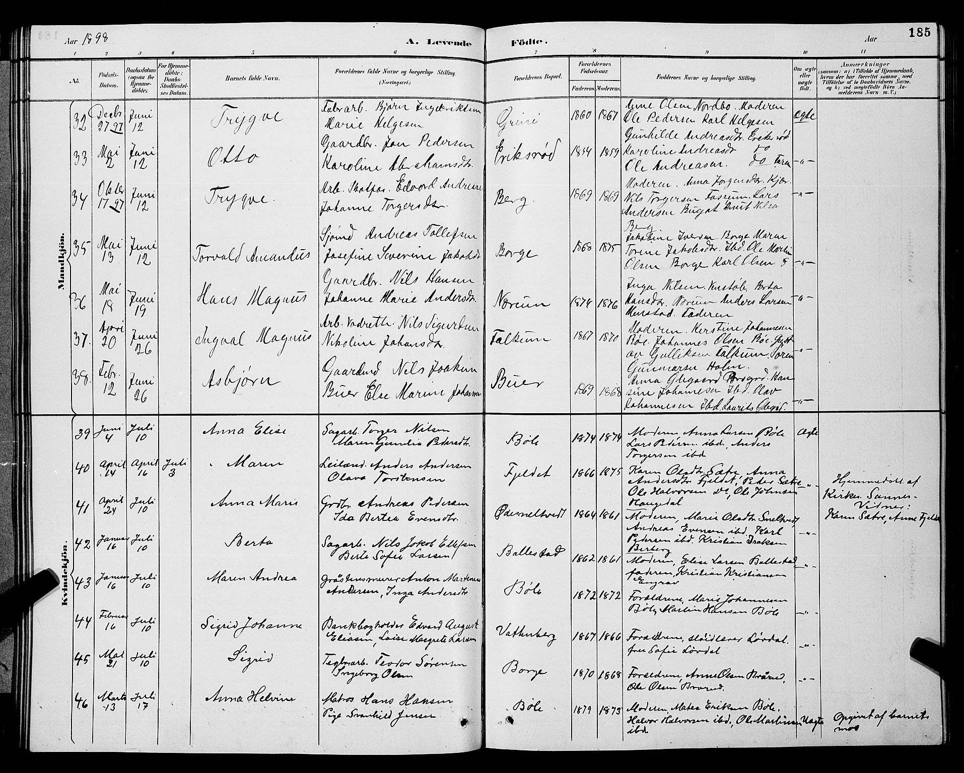 Gjerpen kirkebøker, AV/SAKO-A-265/G/Ga/L0002: Parish register (copy) no. I 2, 1883-1900, p. 185