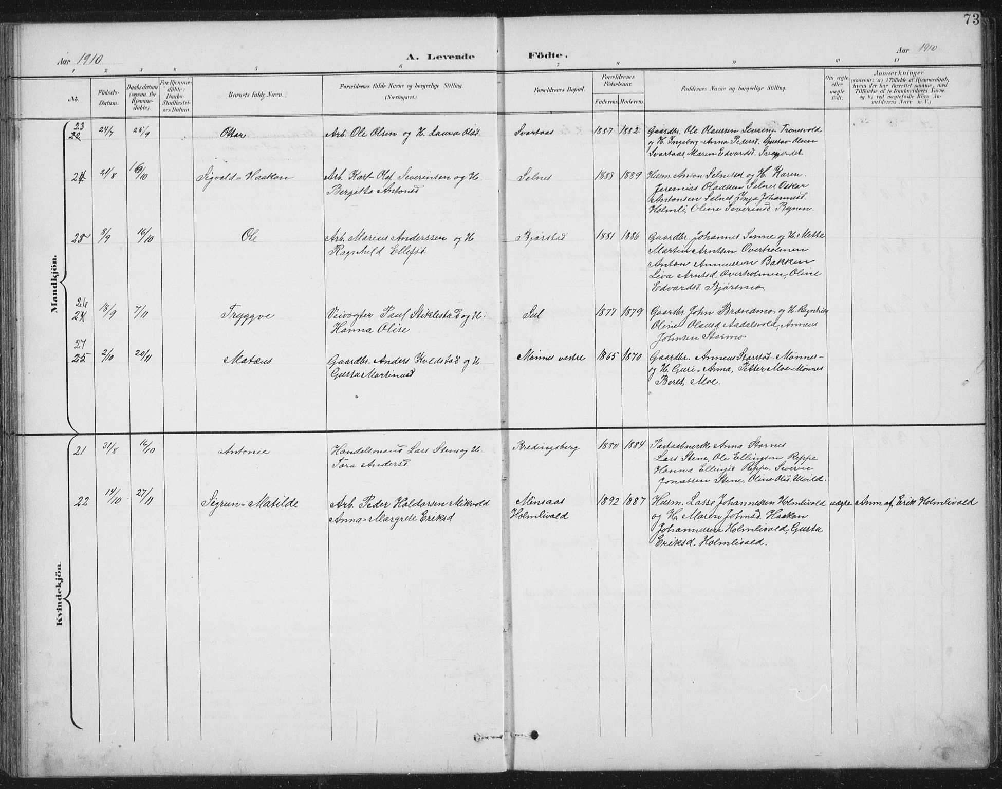 Ministerialprotokoller, klokkerbøker og fødselsregistre - Nord-Trøndelag, SAT/A-1458/724/L0269: Parish register (copy) no. 724C05, 1899-1920, p. 73