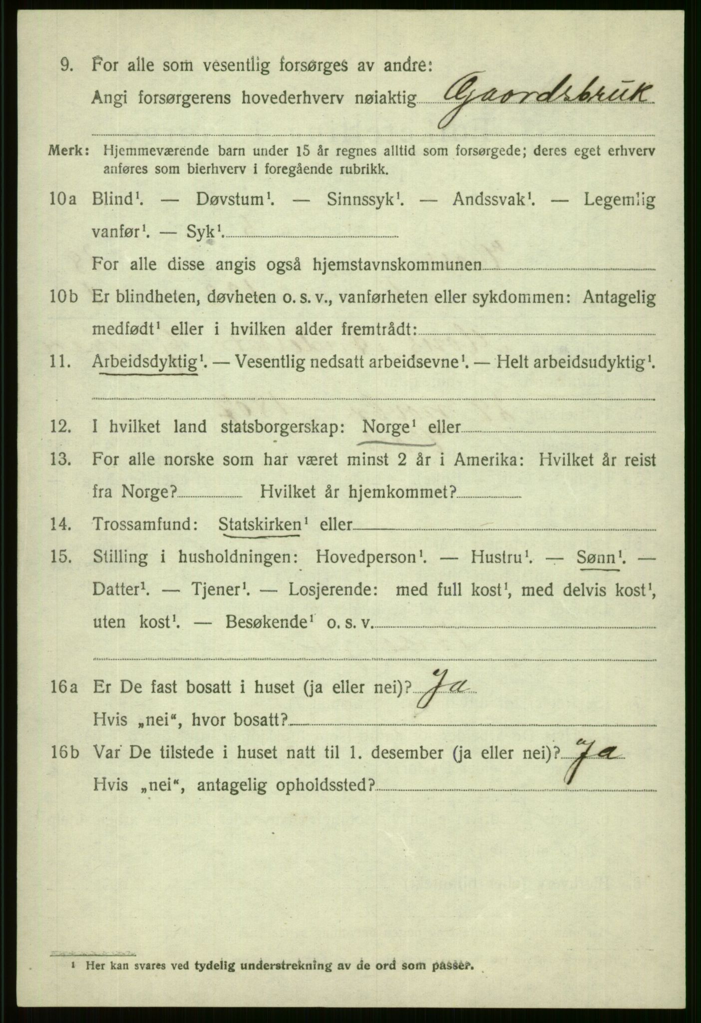 SAB, 1920 census for Voss, 1920, p. 13928