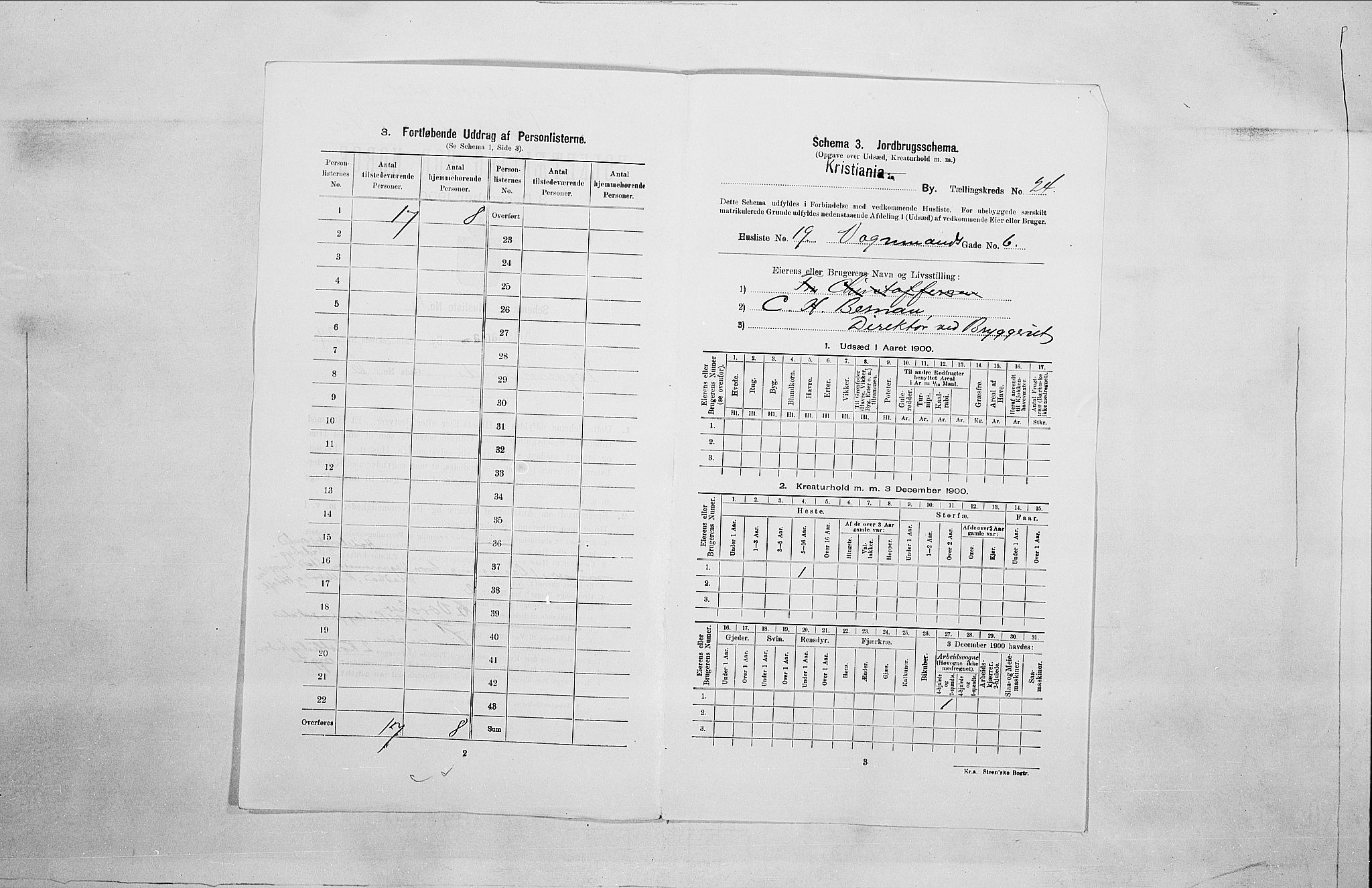 SAO, 1900 census for Kristiania, 1900, p. 113615