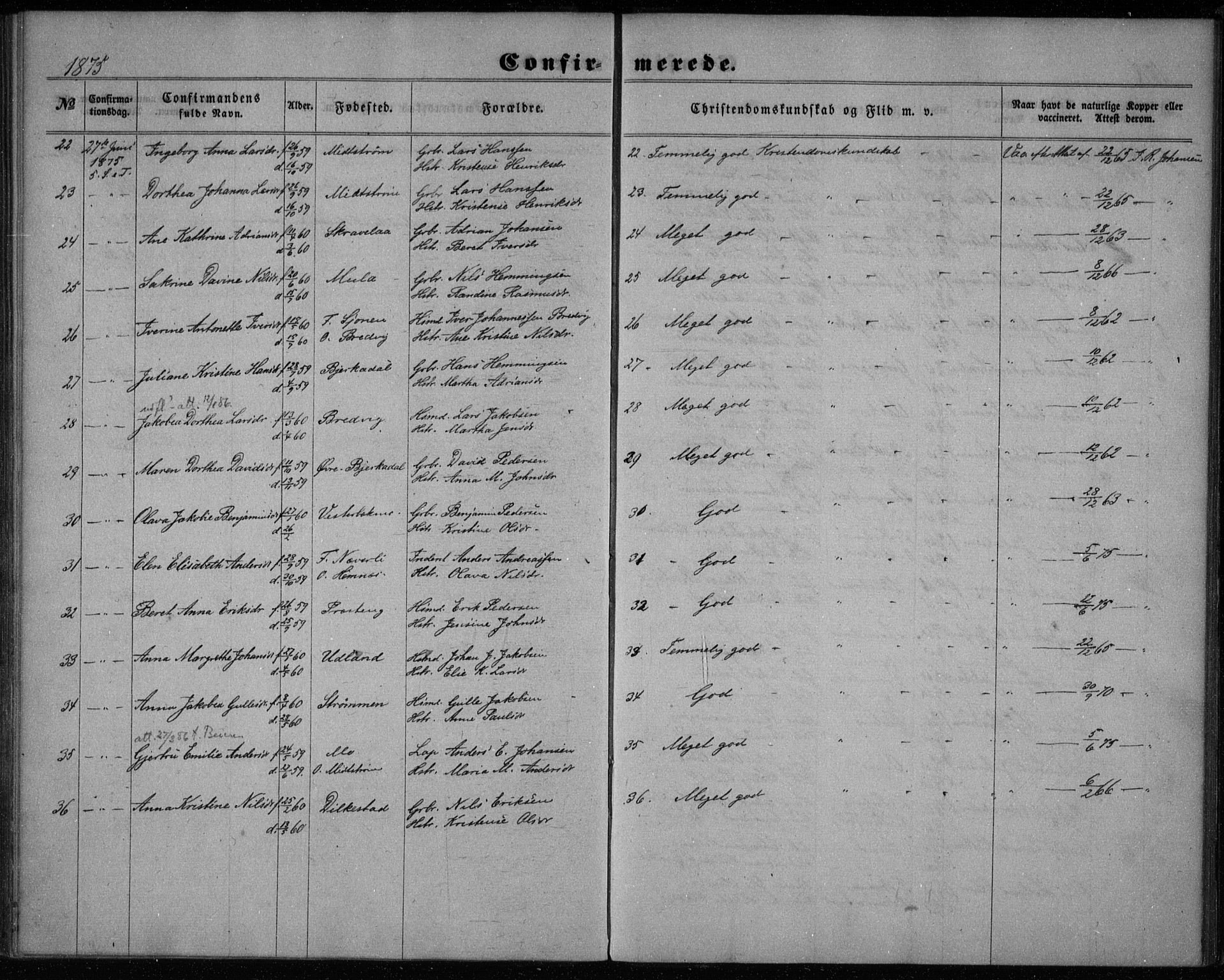Ministerialprotokoller, klokkerbøker og fødselsregistre - Nordland, AV/SAT-A-1459/825/L0357: Parish register (official) no. 825A11, 1859-1877