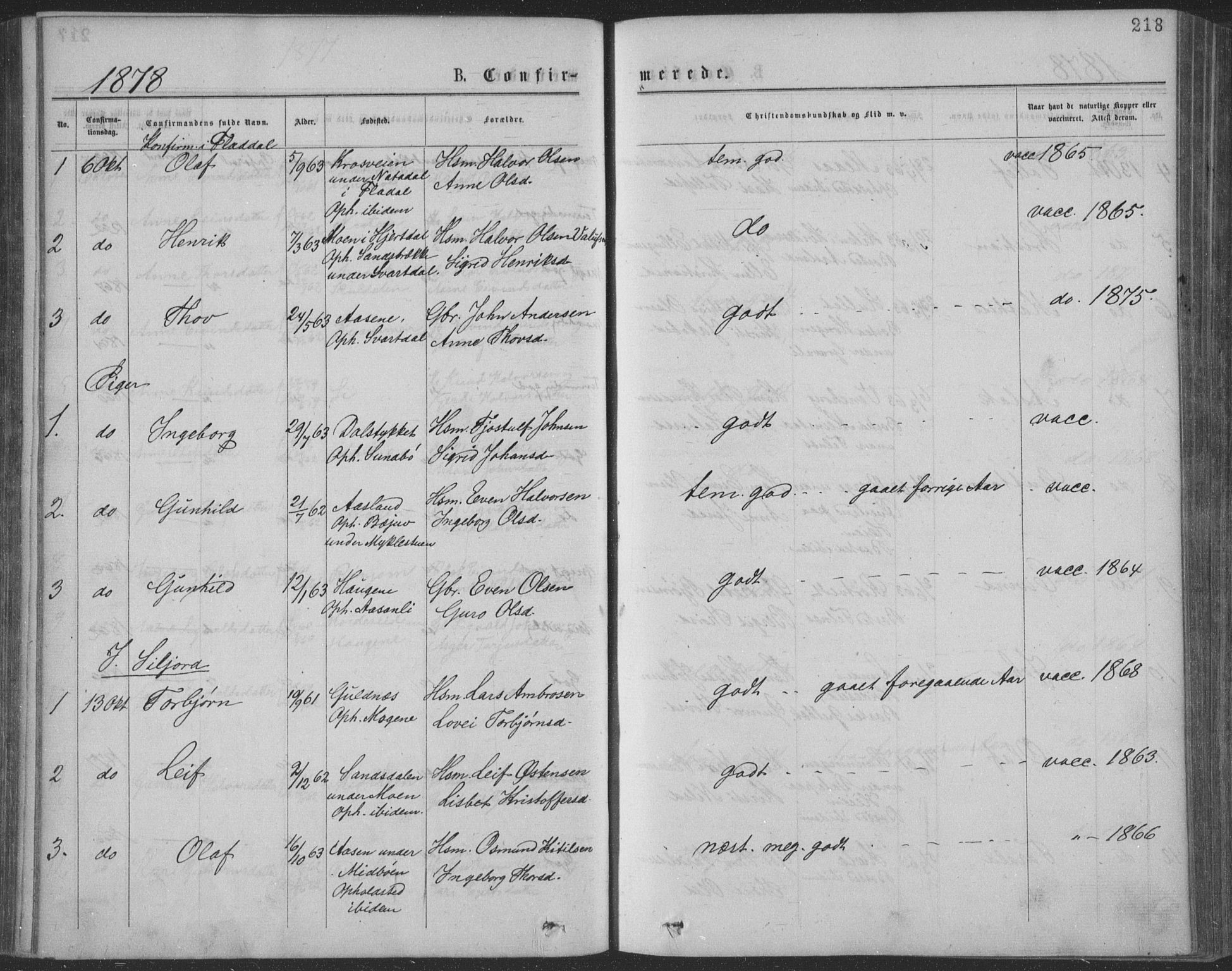Seljord kirkebøker, SAKO/A-20/F/Fa/L0014: Parish register (official) no. I 14, 1877-1886, p. 218