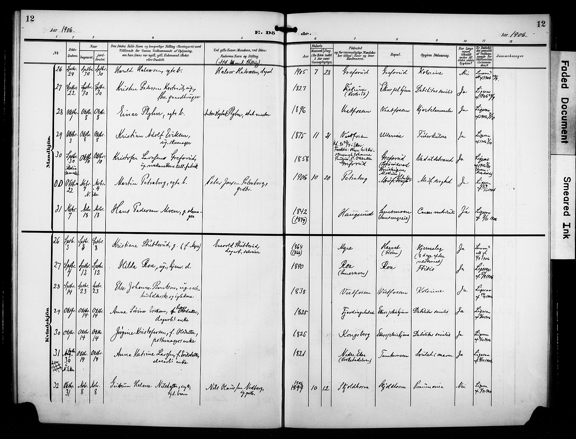 Eiker kirkebøker, AV/SAKO-A-4/F/Fb/L0004: Parish register (official) no. II 4, 1905-1914, p. 12