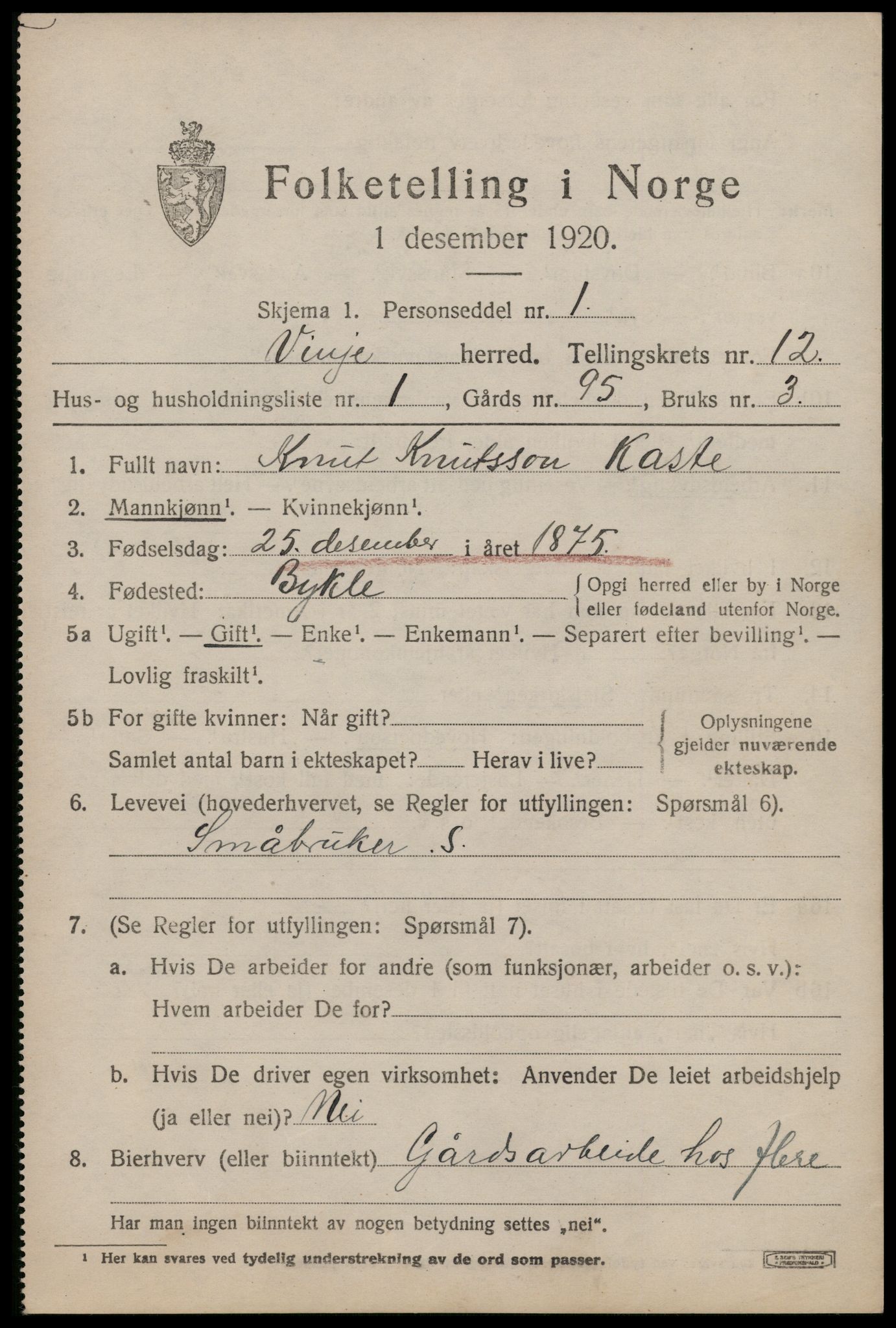 SAKO, 1920 census for Vinje, 1920, p. 3887