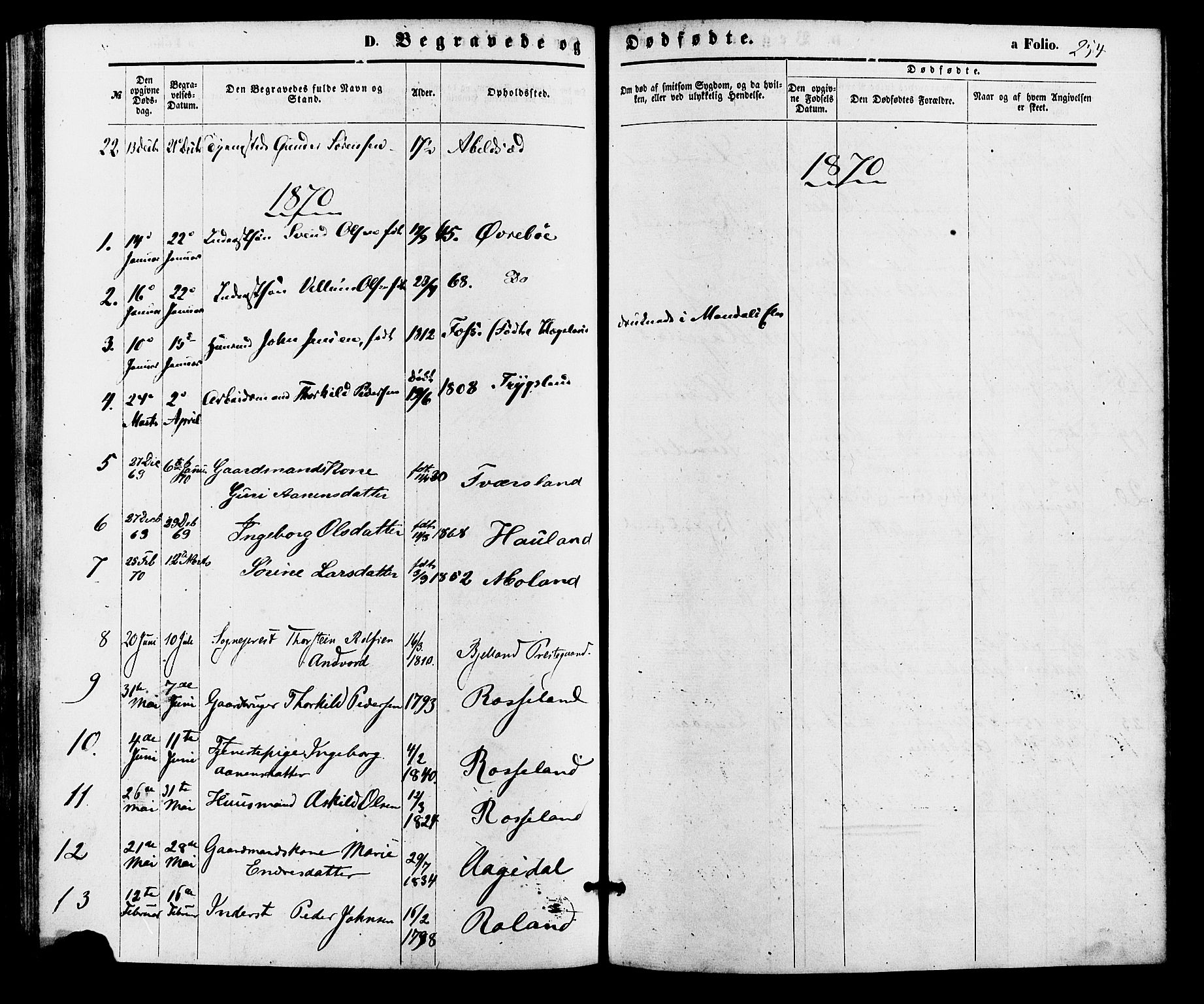 Bjelland sokneprestkontor, SAK/1111-0005/F/Fa/Faa/L0003: Parish register (official) no. A 3, 1867-1887, p. 254