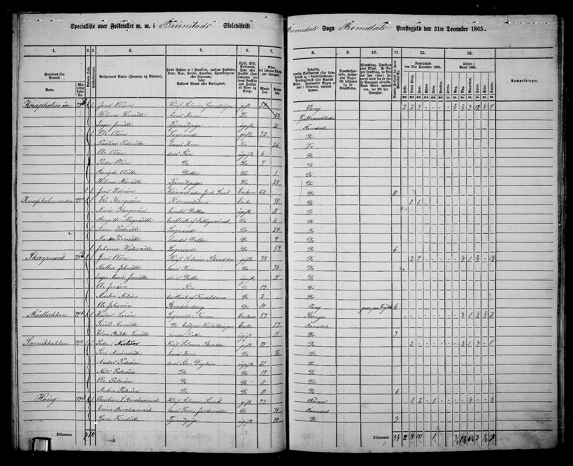 RA, 1865 census for Romedal, 1865, p. 108