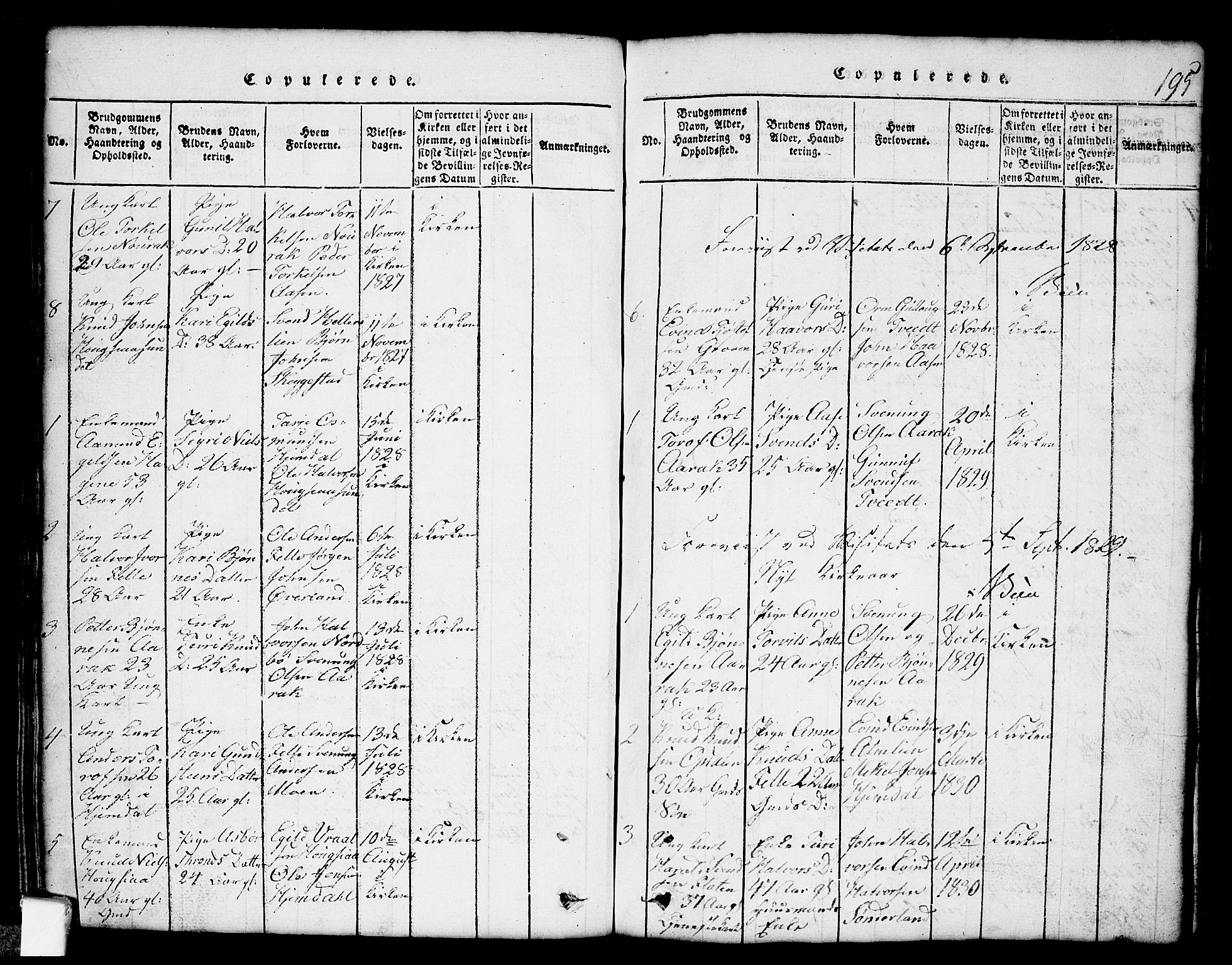 Nissedal kirkebøker, SAKO/A-288/G/Gb/L0001: Parish register (copy) no. II 1, 1814-1862, p. 195