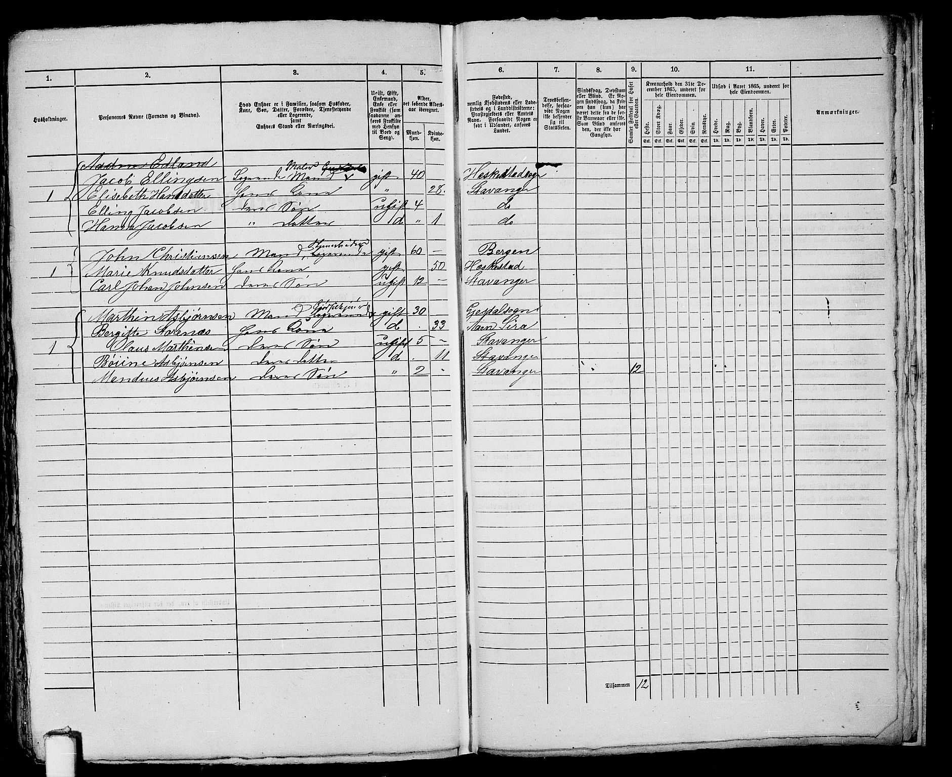 RA, 1865 census for Stavanger, 1865, p. 517