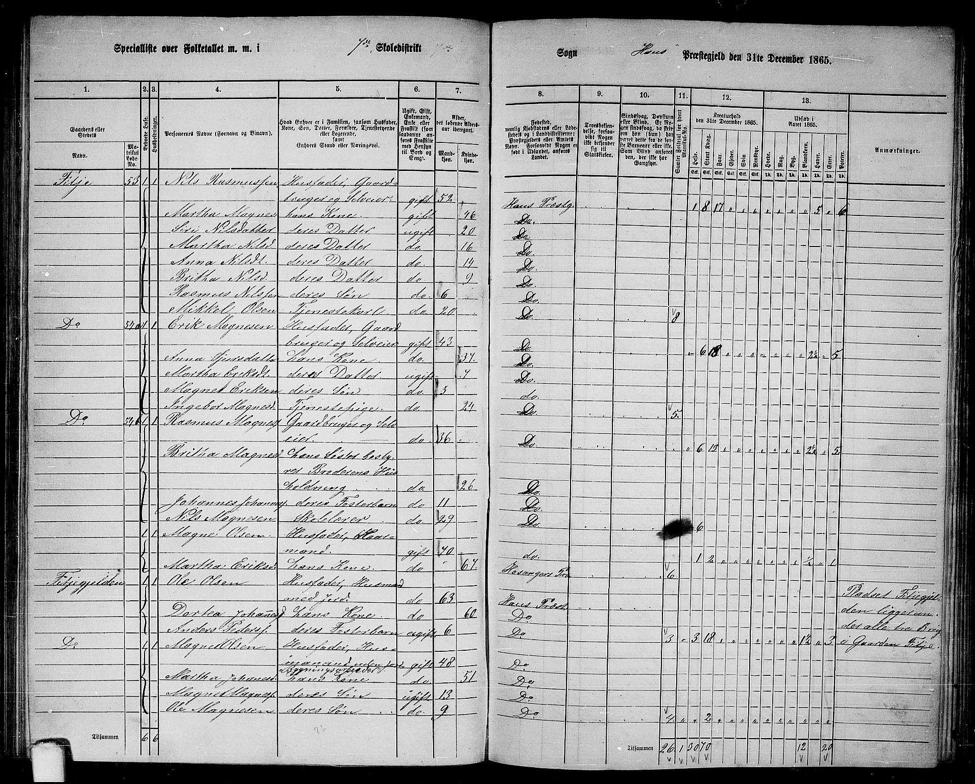 RA, 1865 census for Haus, 1865, p. 127