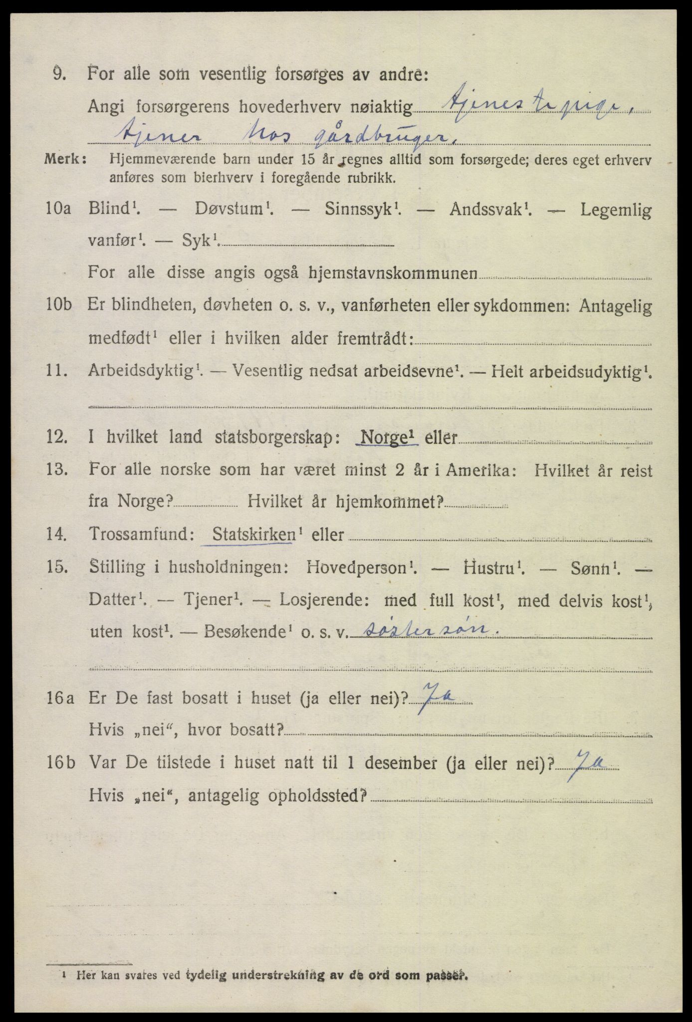 SAK, 1920 census for Hornnes, 1920, p. 1642