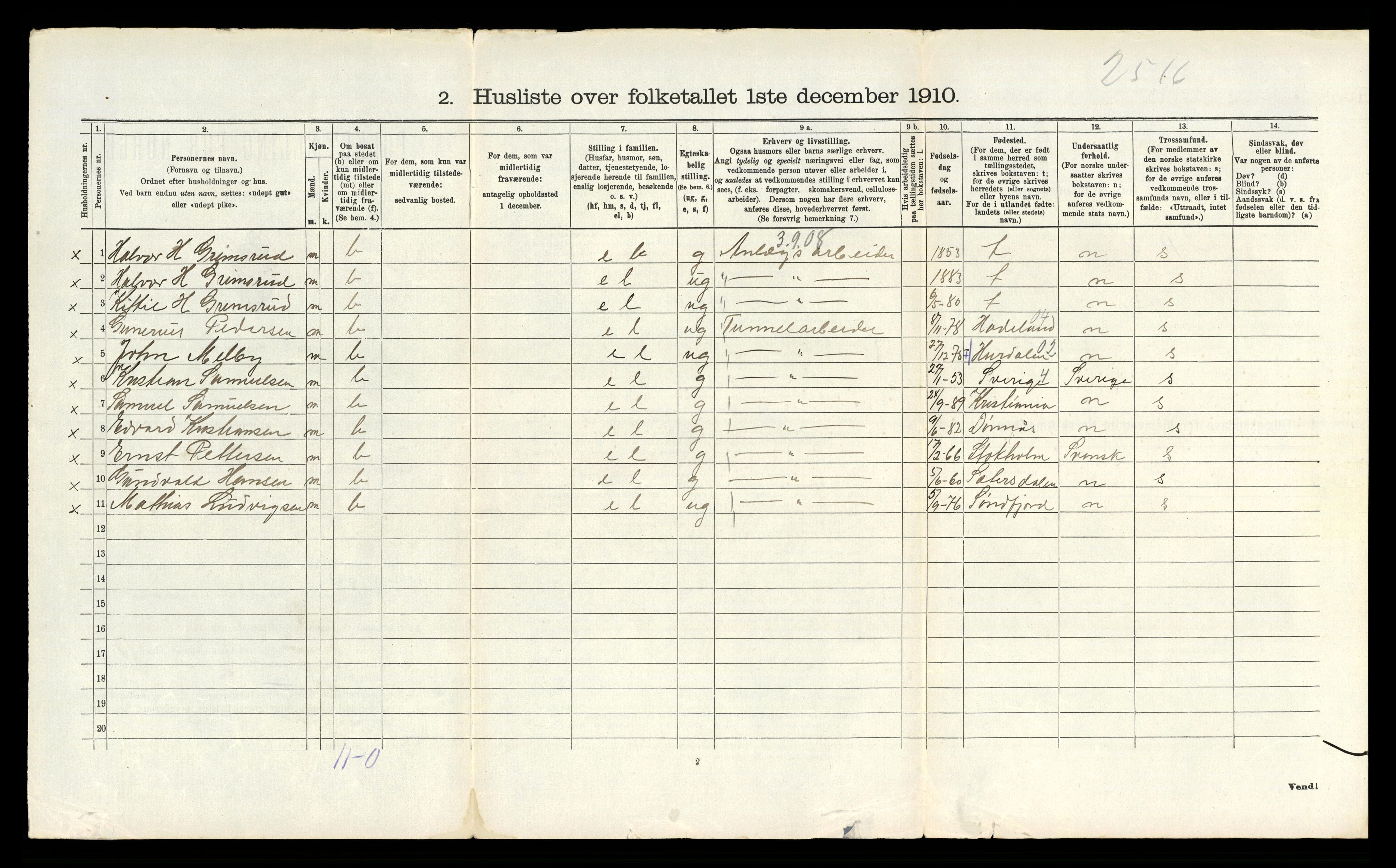 RA, 1910 census for Tinn, 1910, p. 1202