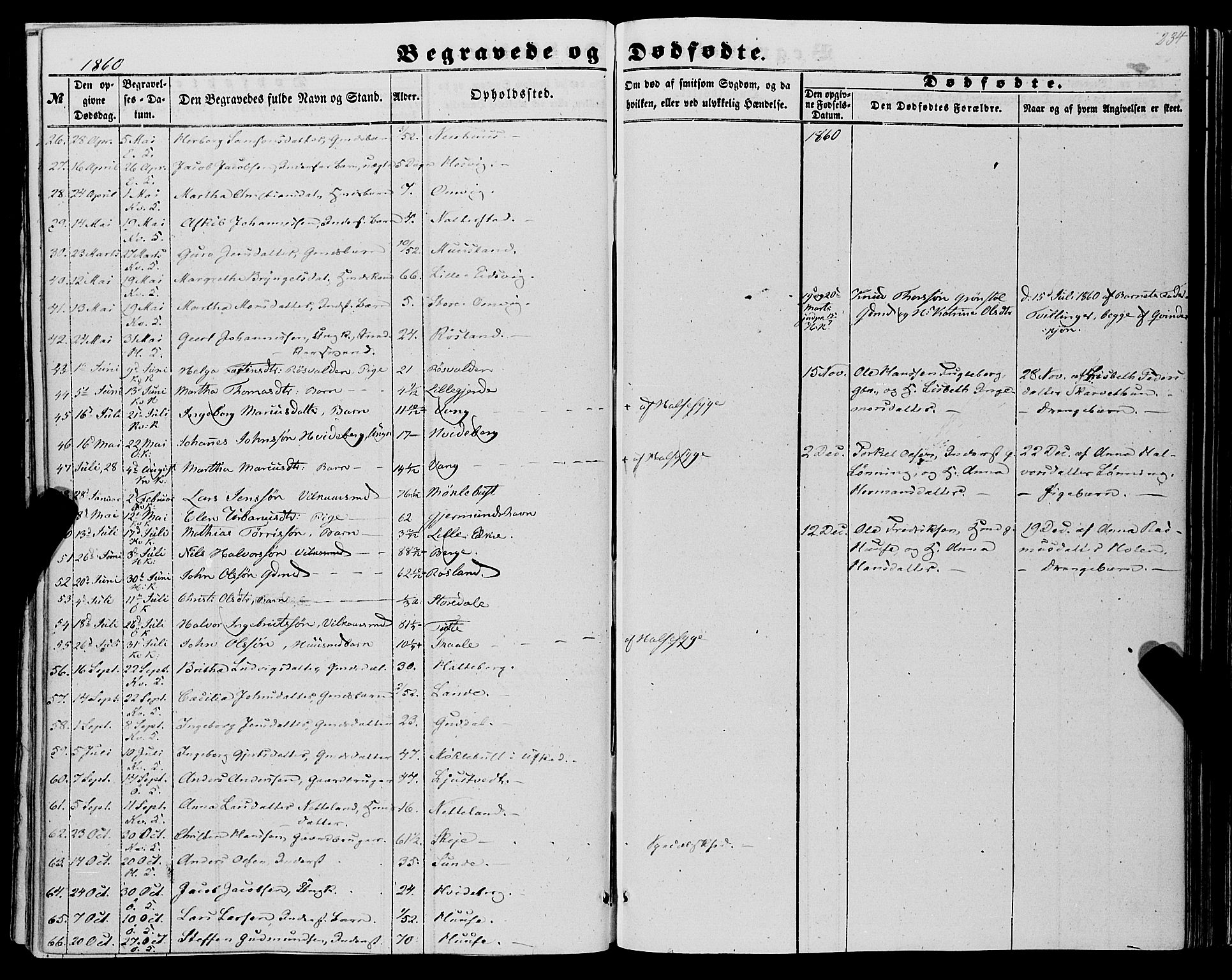 Kvinnherad sokneprestembete, AV/SAB-A-76401/H/Haa: Parish register (official) no. A 8, 1854-1872, p. 234