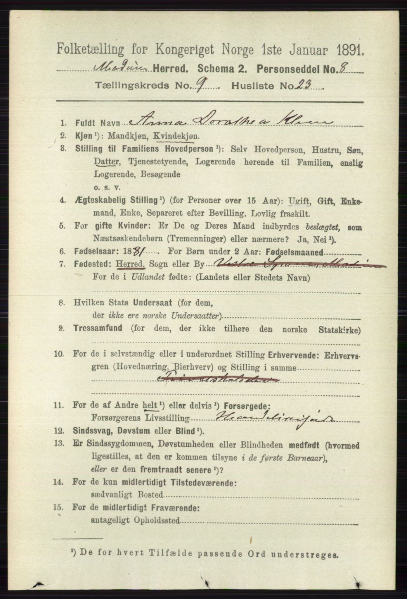 RA, 1891 census for 0623 Modum, 1891, p. 3597