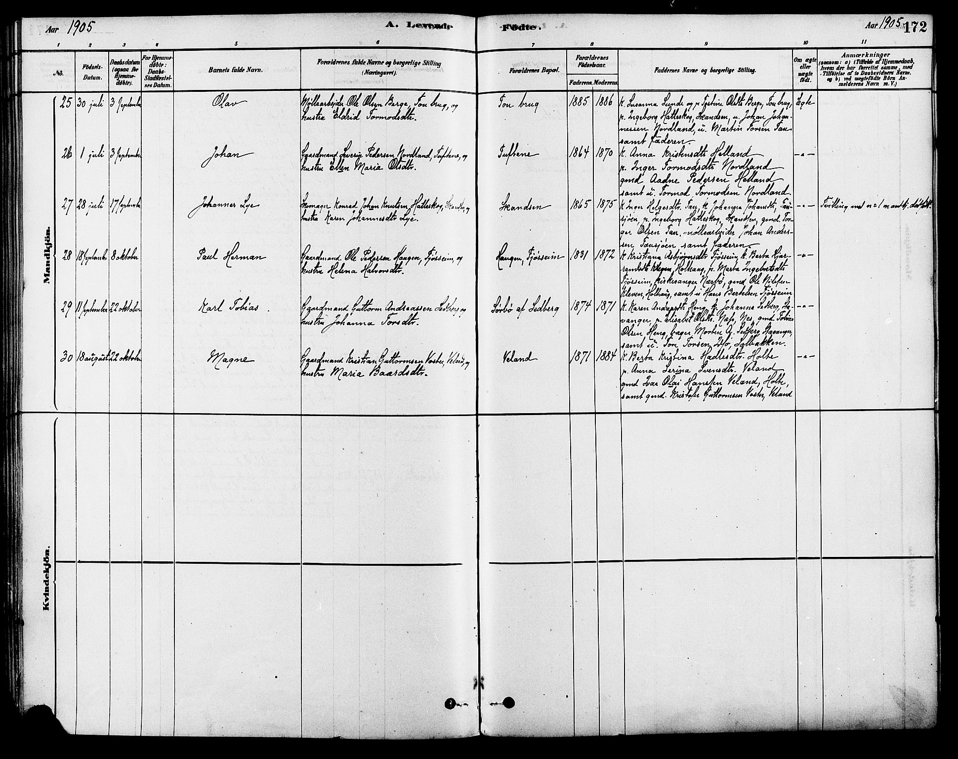 Strand sokneprestkontor, AV/SAST-A-101828/H/Ha/Haa/L0009: Parish register (official) no. A 9, 1877-1908, p. 172