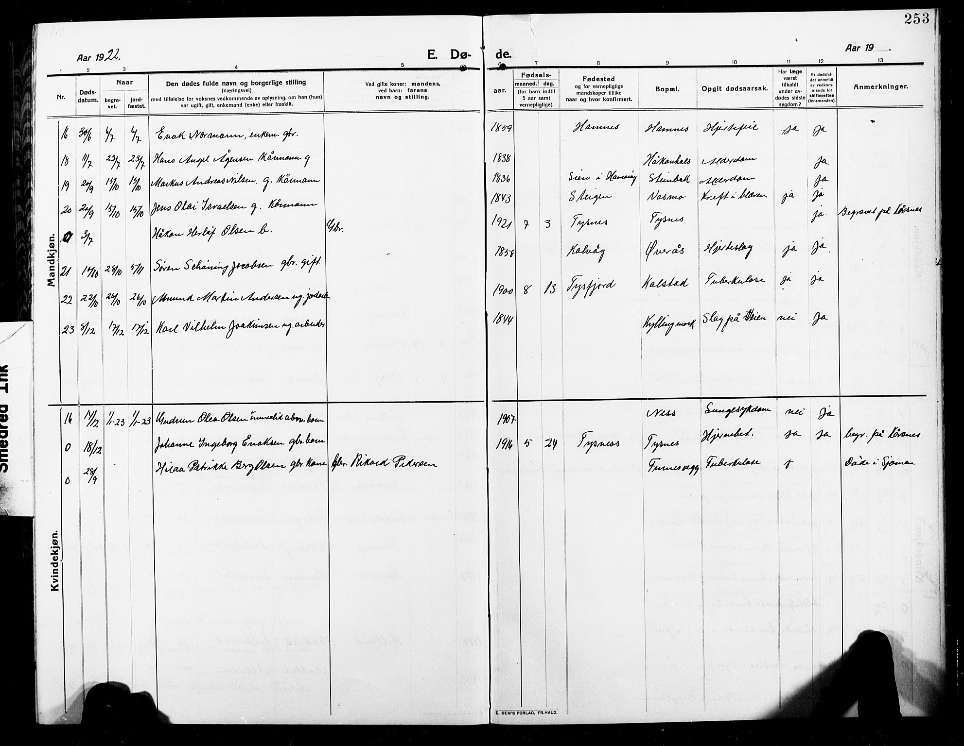 Ministerialprotokoller, klokkerbøker og fødselsregistre - Nordland, AV/SAT-A-1459/859/L0861: Parish register (copy) no. 859C07, 1910-1925, p. 253