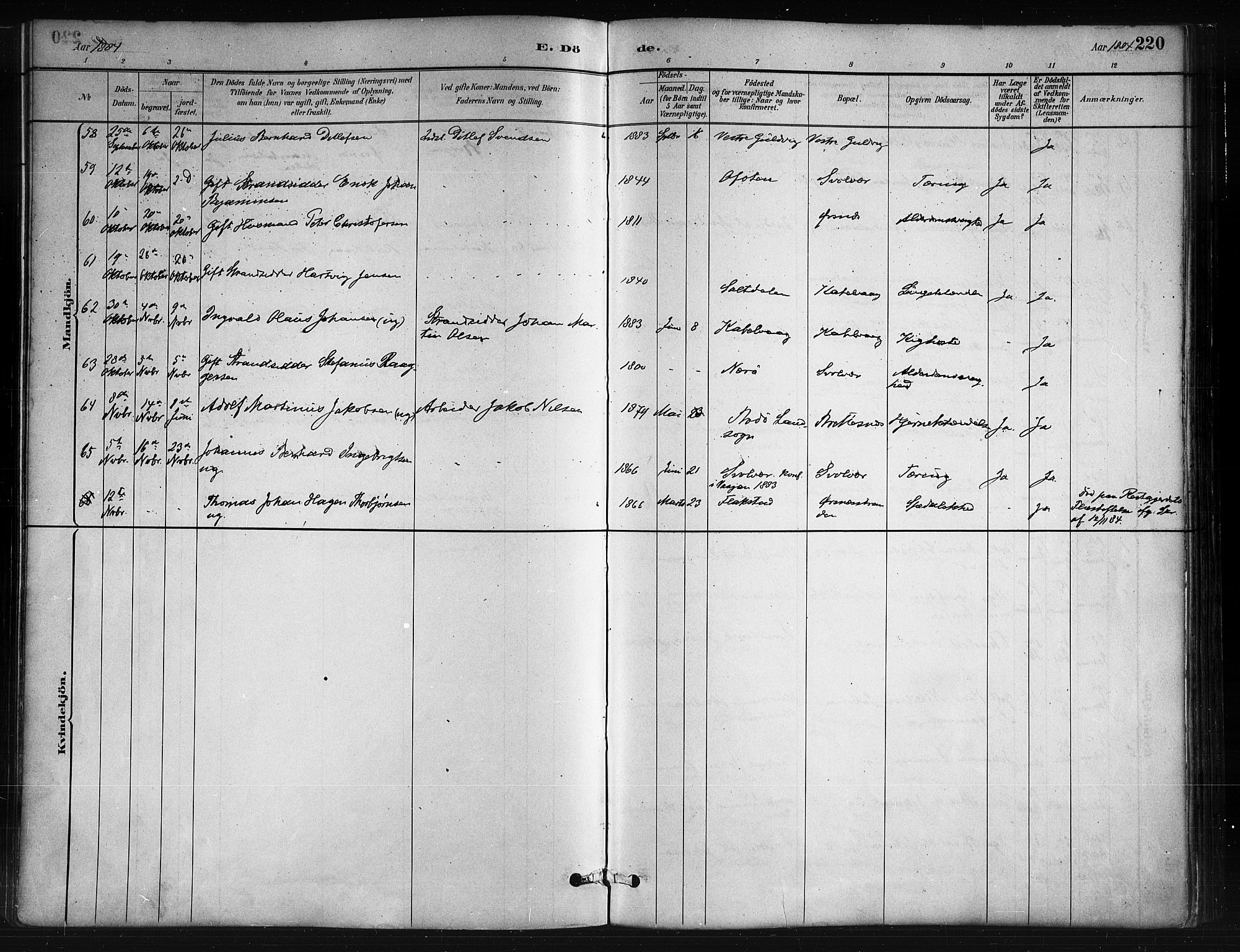Ministerialprotokoller, klokkerbøker og fødselsregistre - Nordland, SAT/A-1459/874/L1059: Parish register (official) no. 874A03, 1884-1890, p. 220