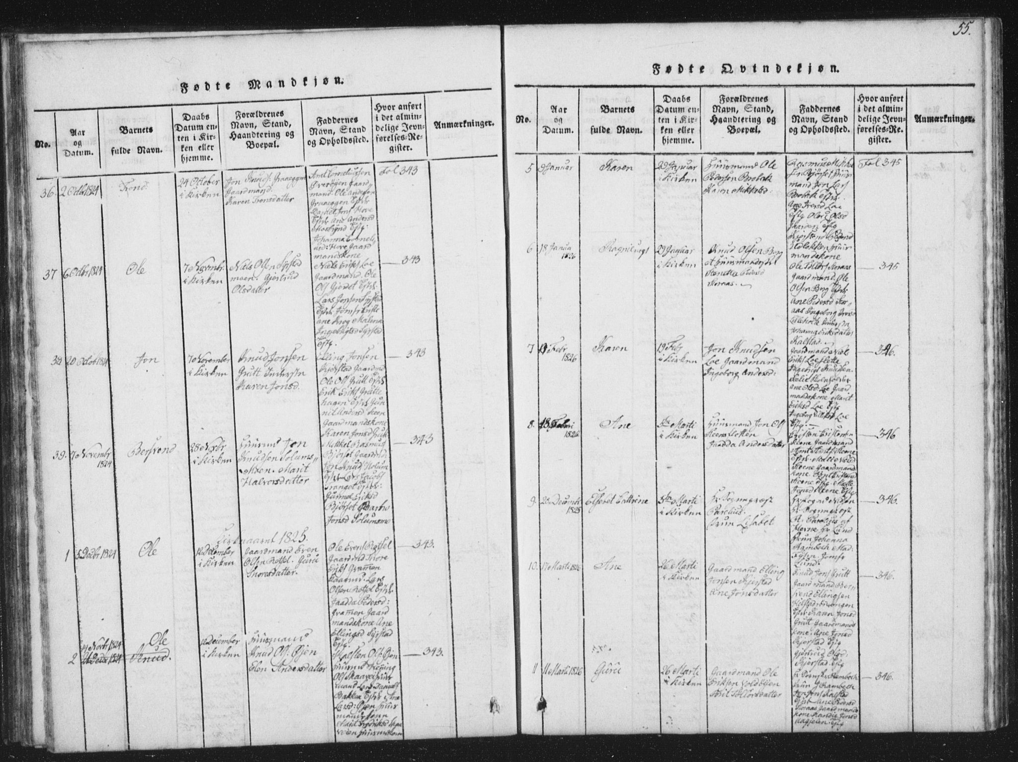 Ministerialprotokoller, klokkerbøker og fødselsregistre - Sør-Trøndelag, SAT/A-1456/672/L0862: Parish register (copy) no. 672C01, 1816-1831, p. 55