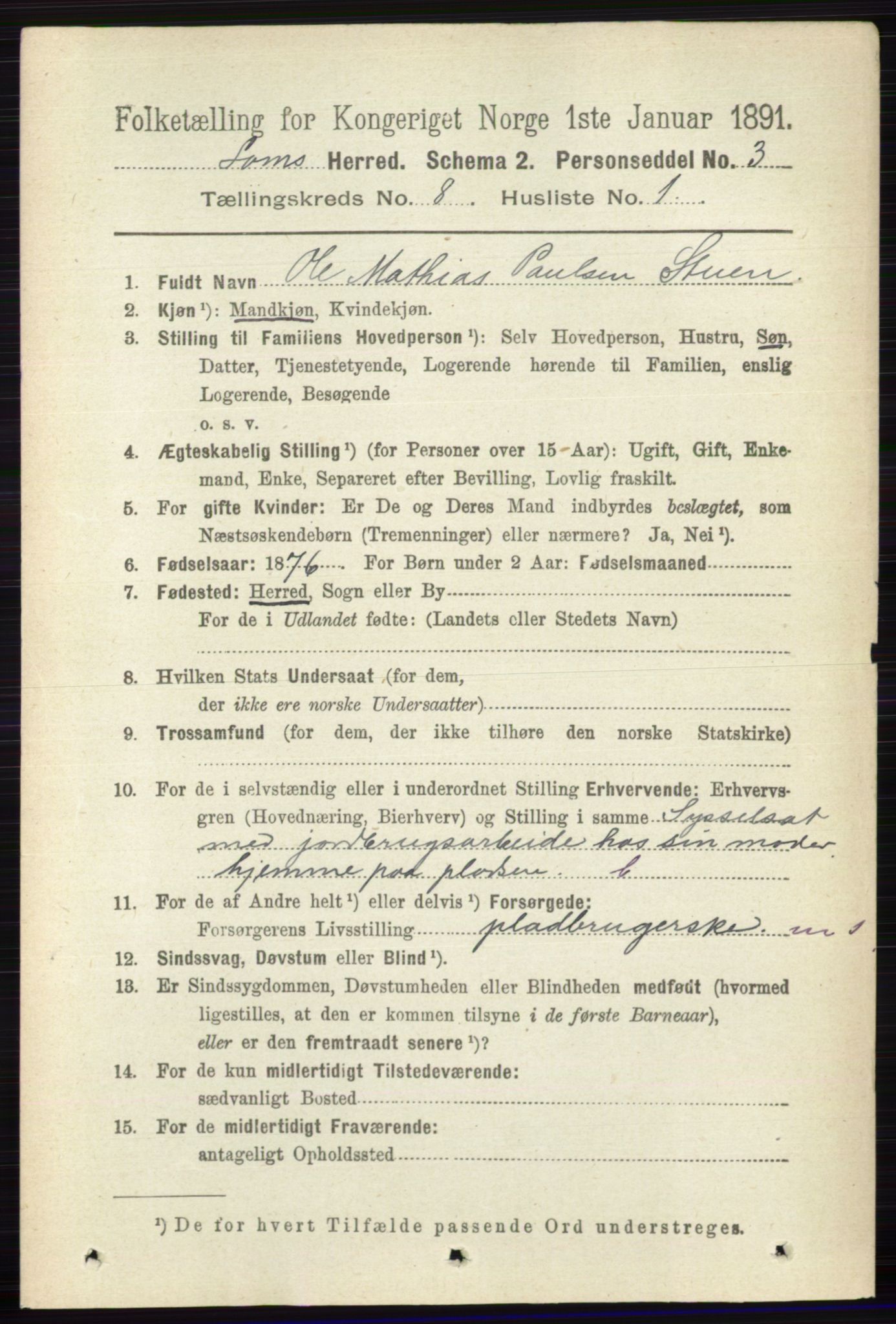 RA, 1891 census for 0514 Lom, 1891, p. 3108