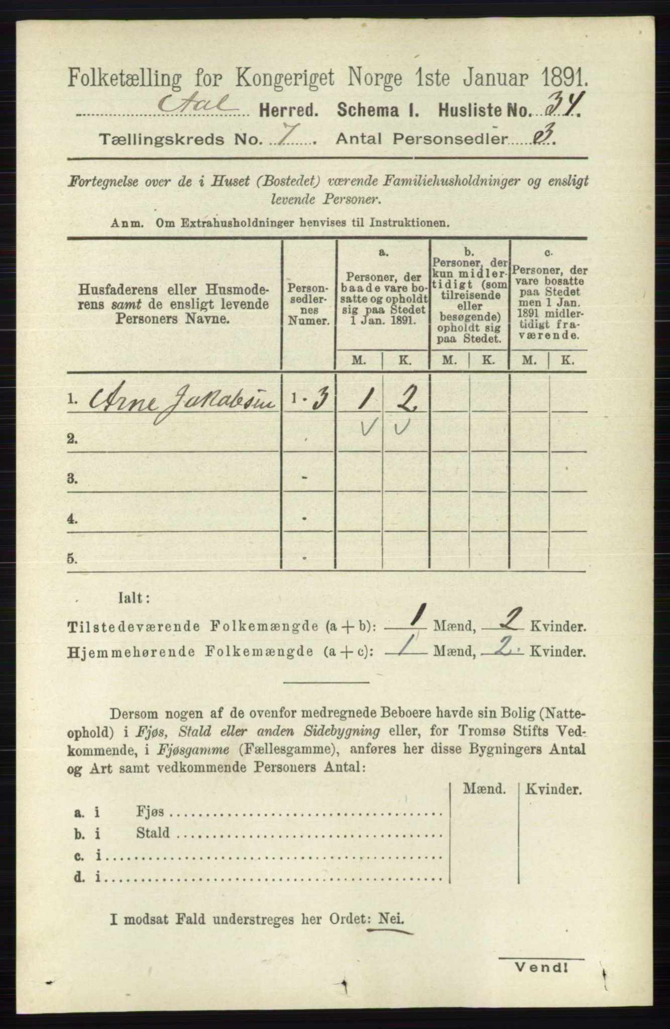 RA, 1891 census for 0619 Ål, 1891, p. 1815