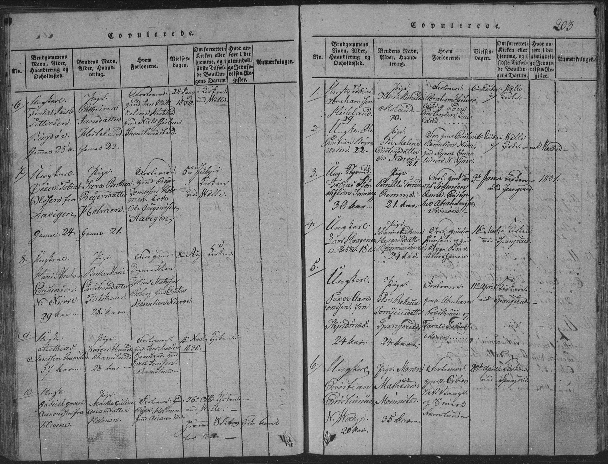 Sør-Audnedal sokneprestkontor, SAK/1111-0039/F/Fb/Fba/L0001: Parish register (copy) no. B 1, 1815-1850, p. 203